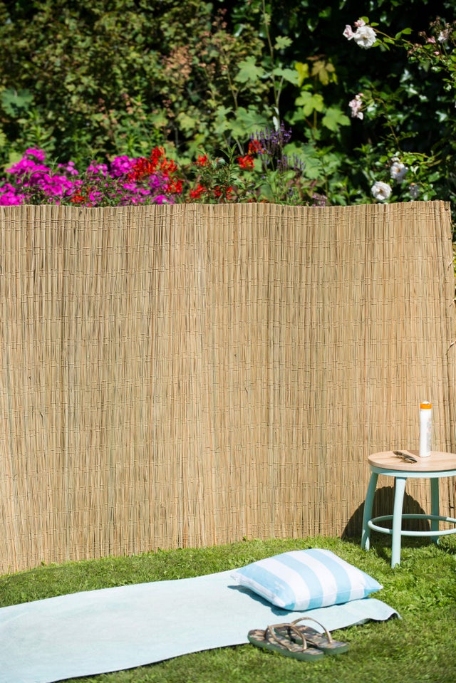 Green Wall Room Ideas