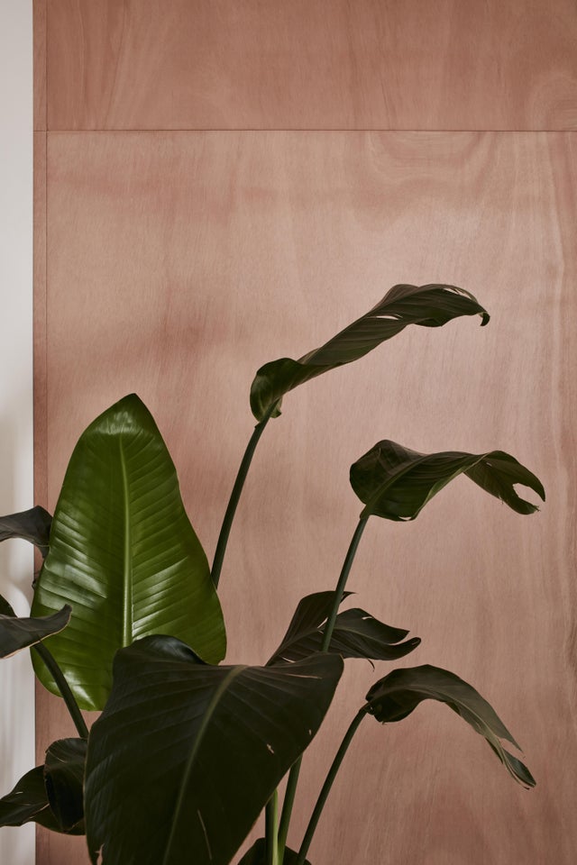 Panneau contreplaqué okoumé extérieur, Ep.22 mm x L.250 x l.122 cm