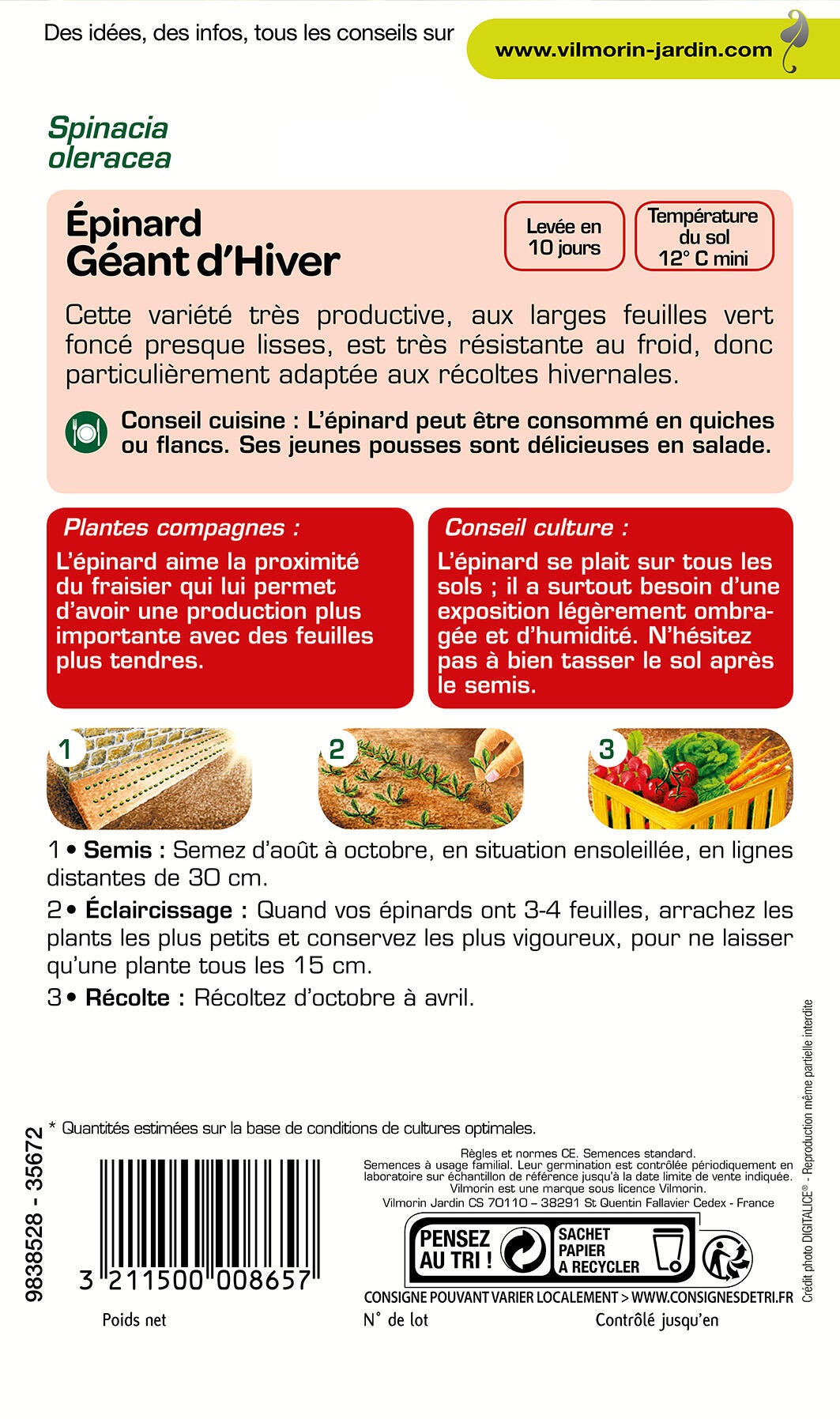 Epinard géant d'hiver VILMORIN 15 g - 2
