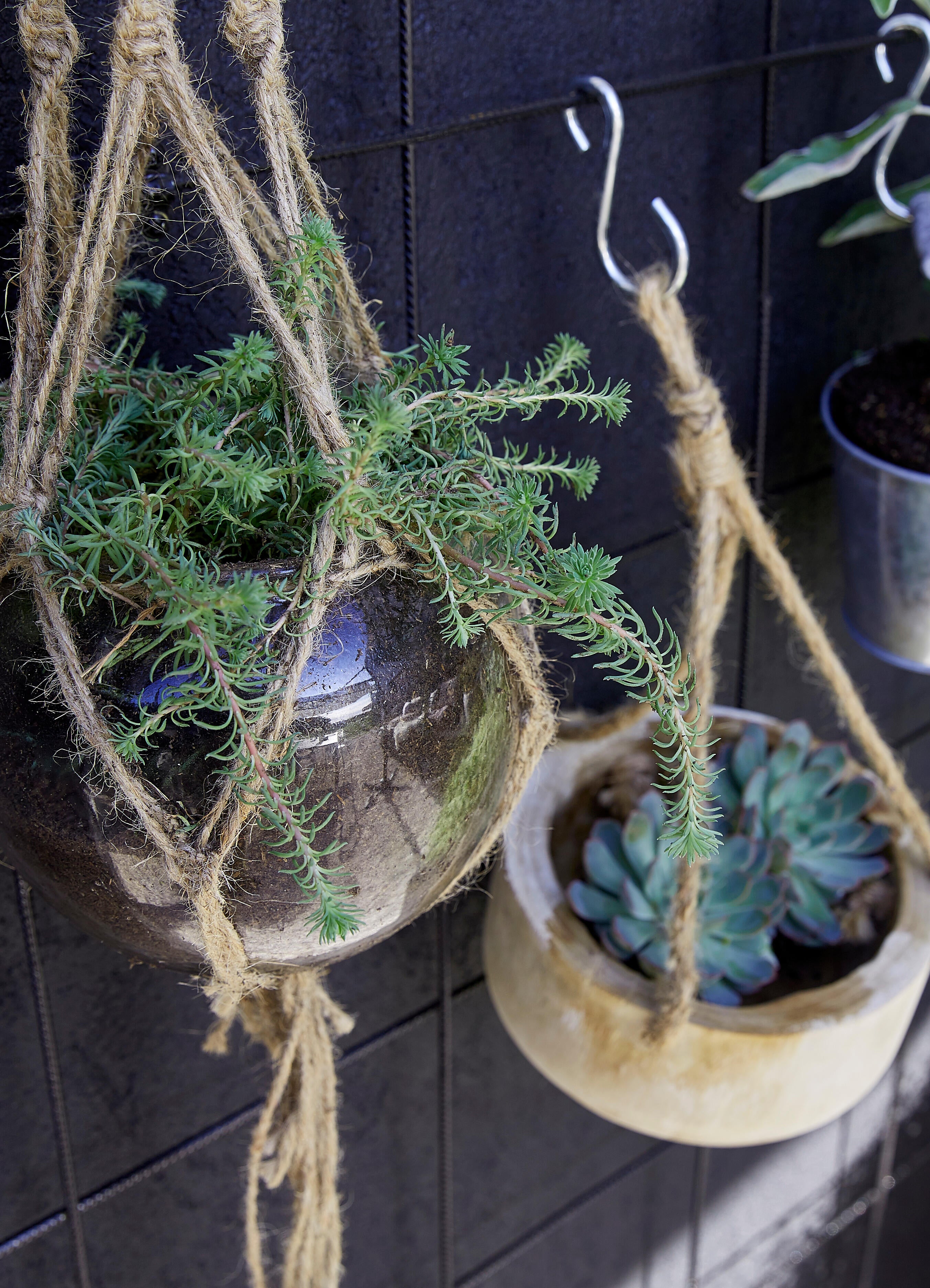 Treillis soudé l.1.19 x L.2.33 m, Diam.5 mm - 3