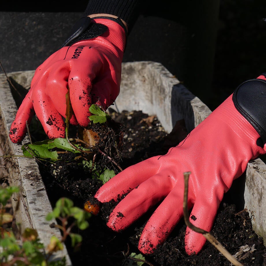 Paire de gants pour travaux de jardinage nitrile, T8 ROSTAING - 3