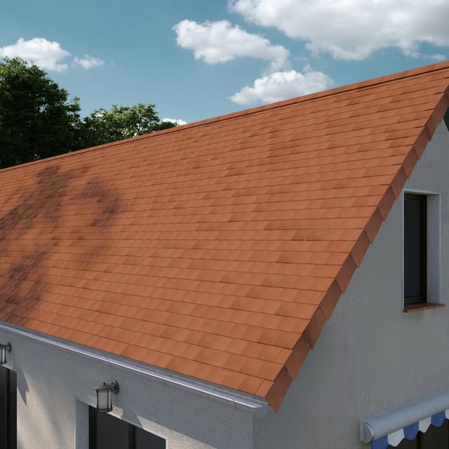 Tuile plate 20x30 flammee rustique 510 IMERYS