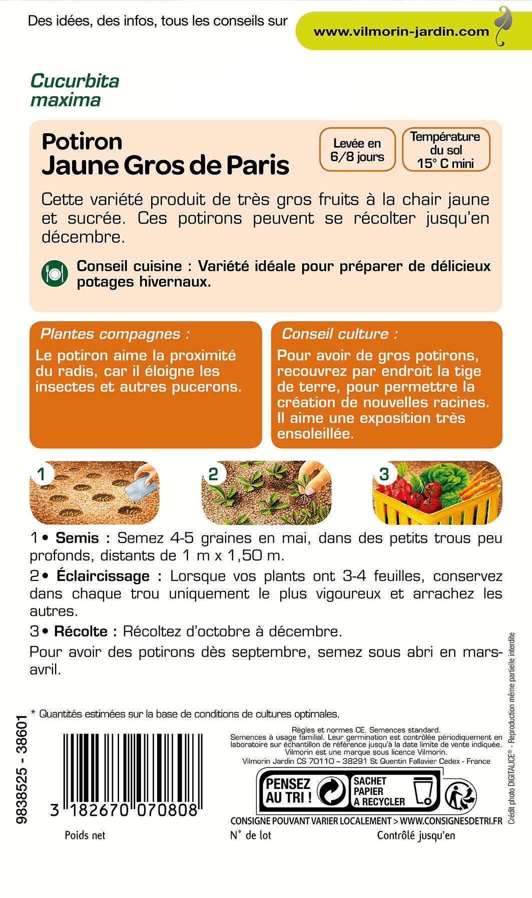 Graines de potiron VILMORIN 6 g - 2