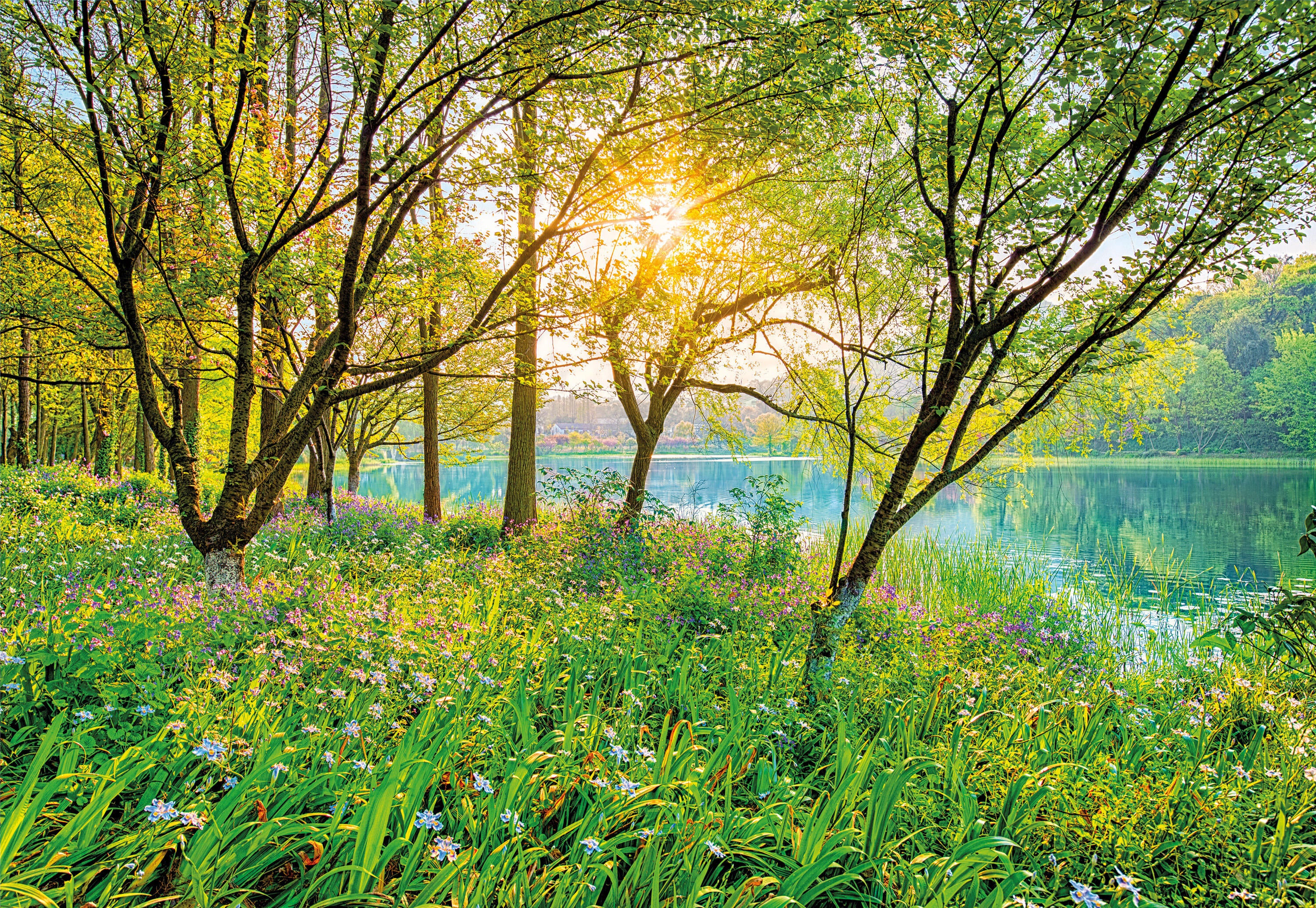 Papier peint panoramique Spring Lake vert l.368 x H.254 cm - 2