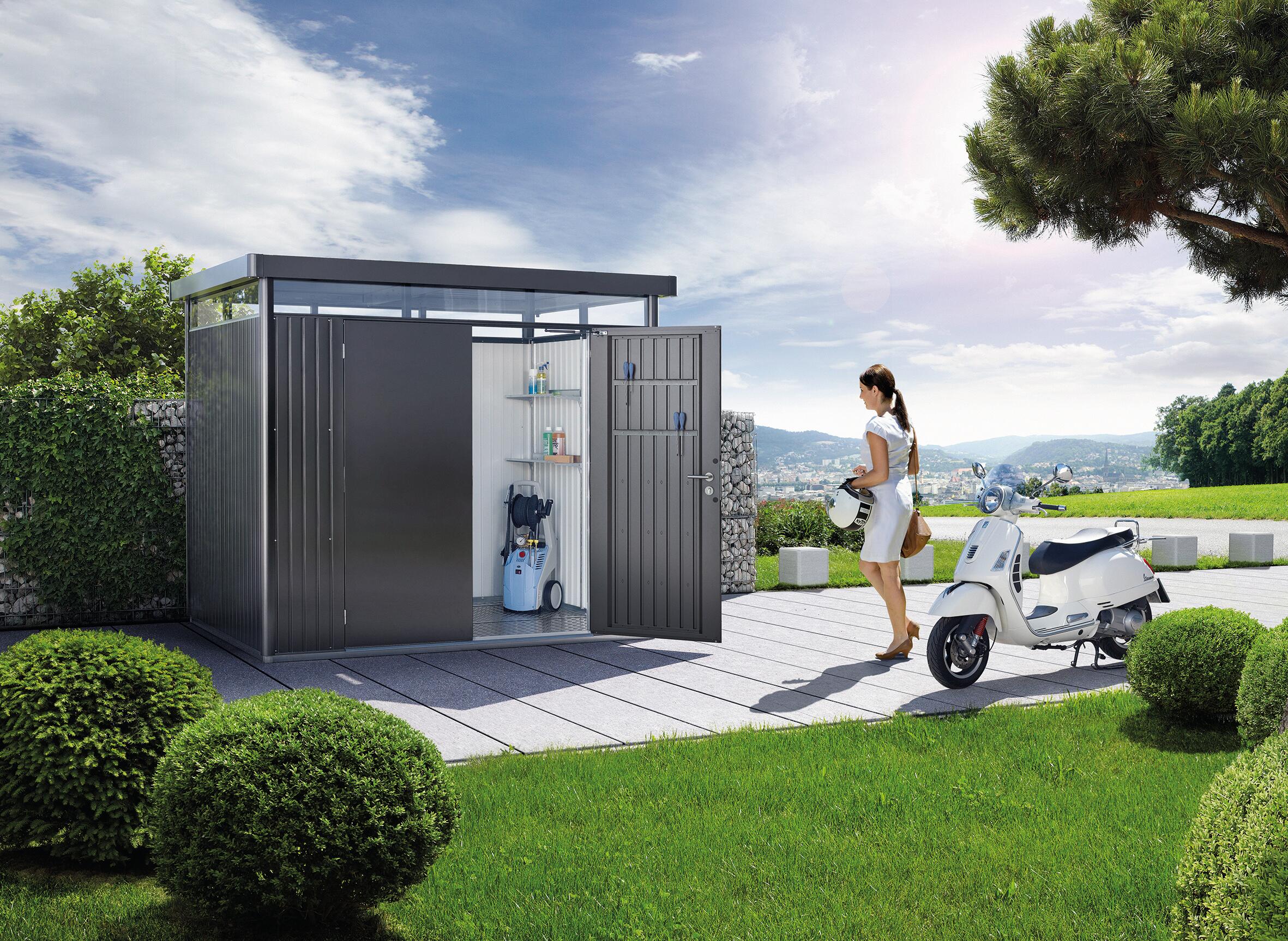 Abri de jardin acier BIOHORT 84029 Ep.0.5 mm, 4.26 m² - 2