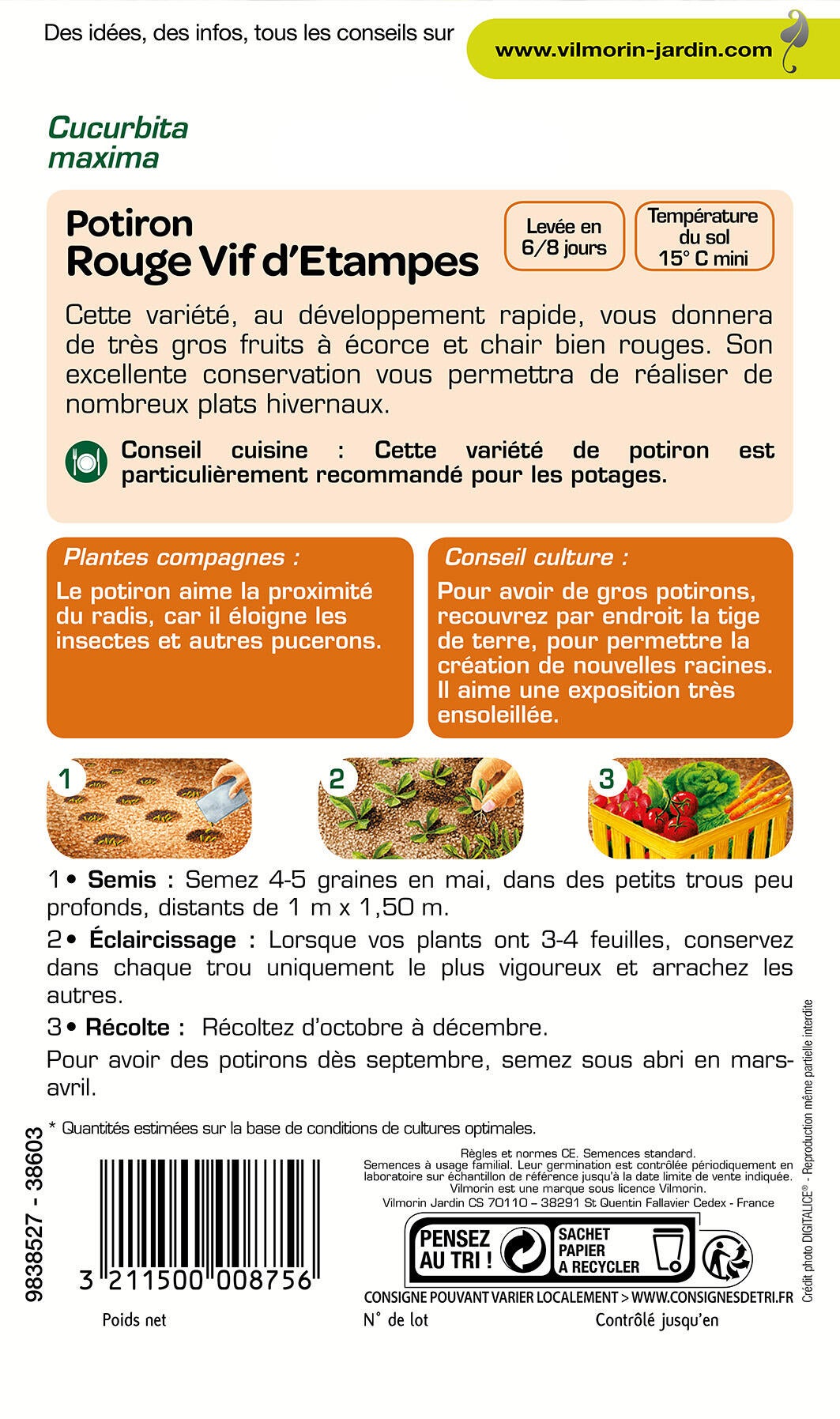 Graines de potiron VILMORIN 6 g - 2