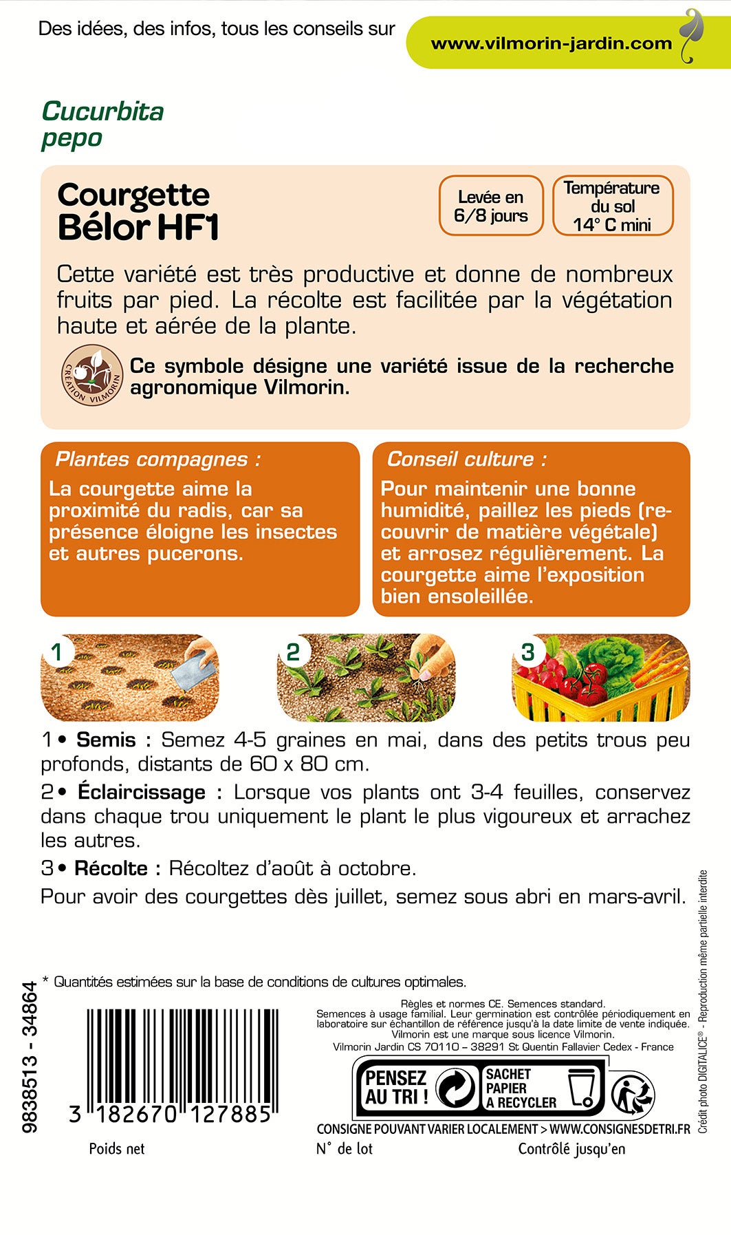 Courgette belor VILMORIN 3 g - 2