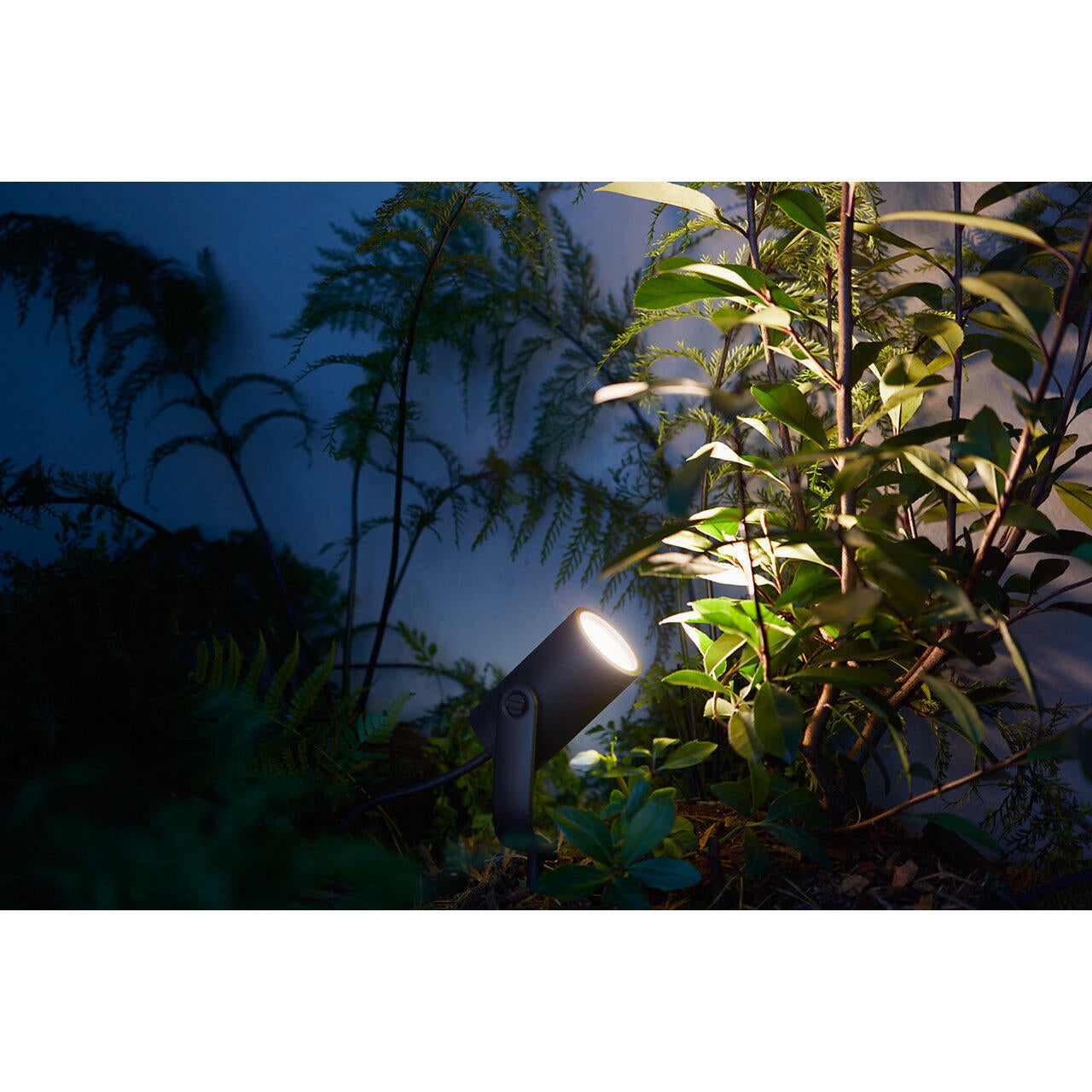 Kit 3 spots à piquer connecté LED 640 Lm Lily PHILIPS HUE - 6