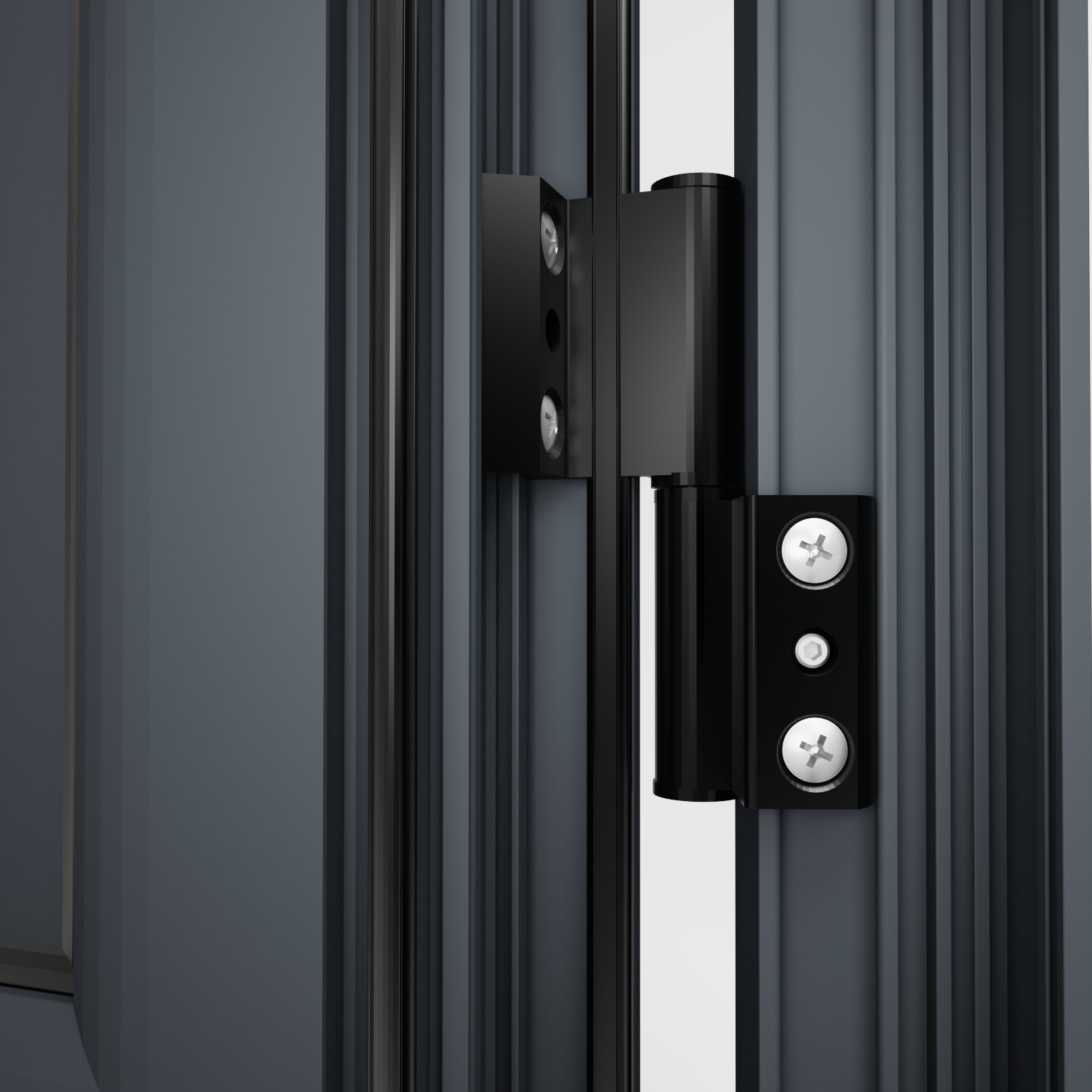Porte service Alu TRYA H.200 x l.80 cm vitrée gris anthracite, poussant droit - 10