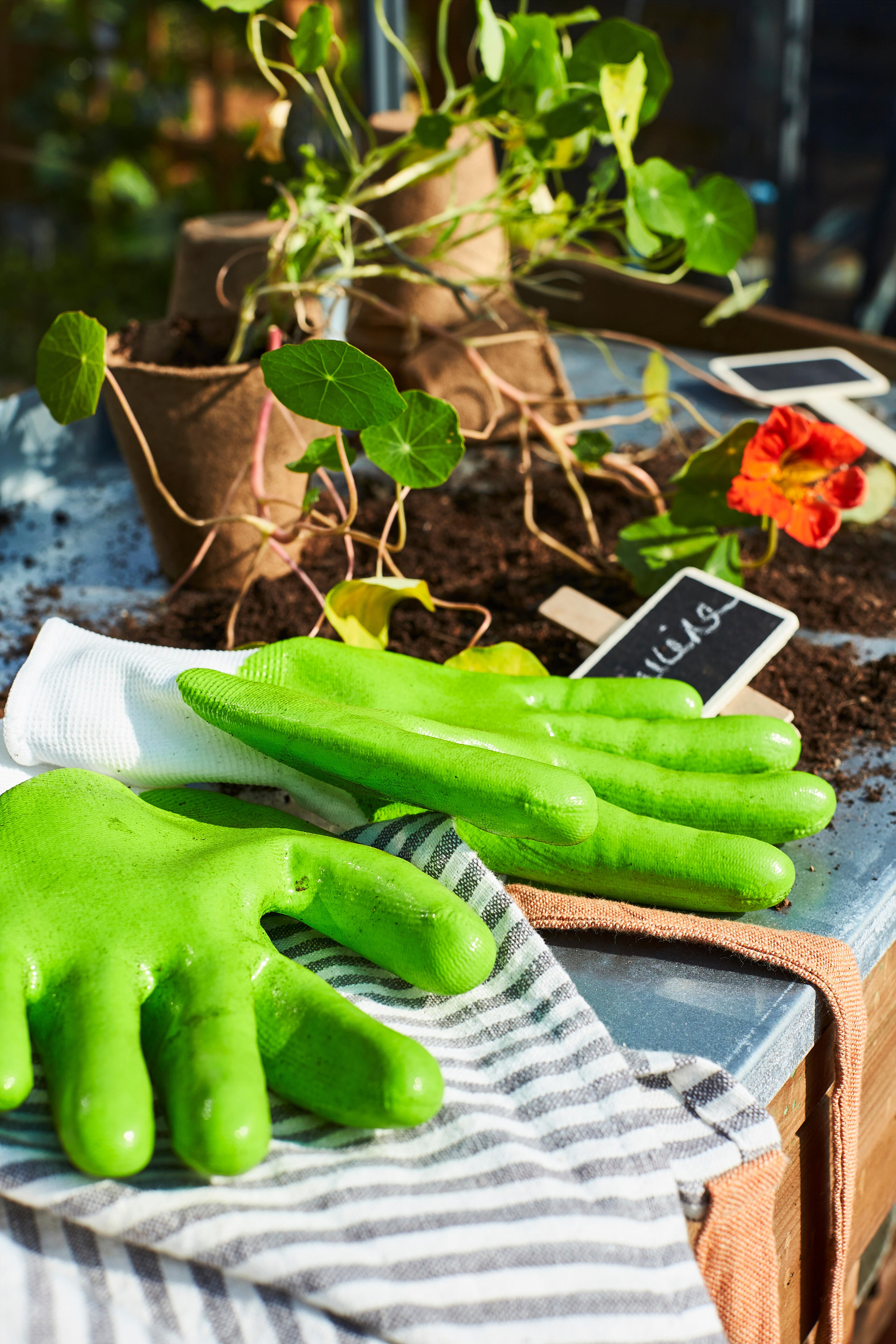 Paire de gants pour travaux de jardinage polyuréthane, T9 GEOLIA - 5