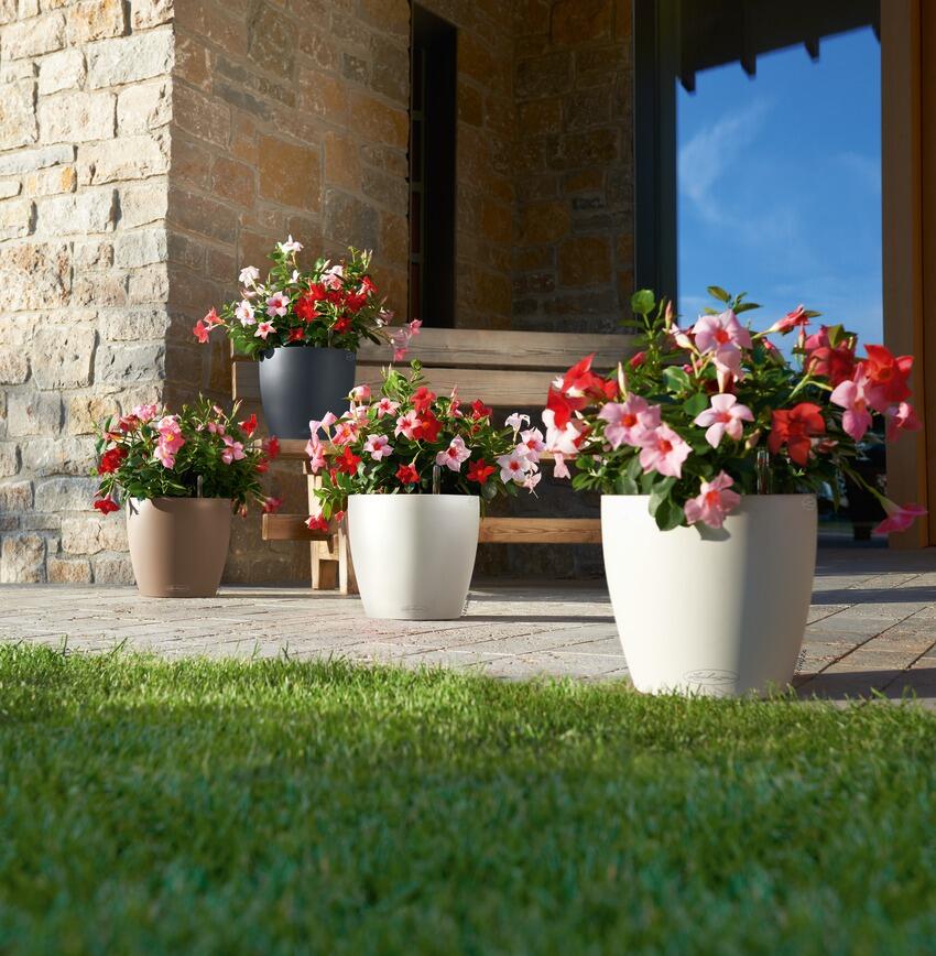 Pot plastique LECHUZA Classico color 28 - kit complet, blanc Diam.28 x l.28 x H. - 2