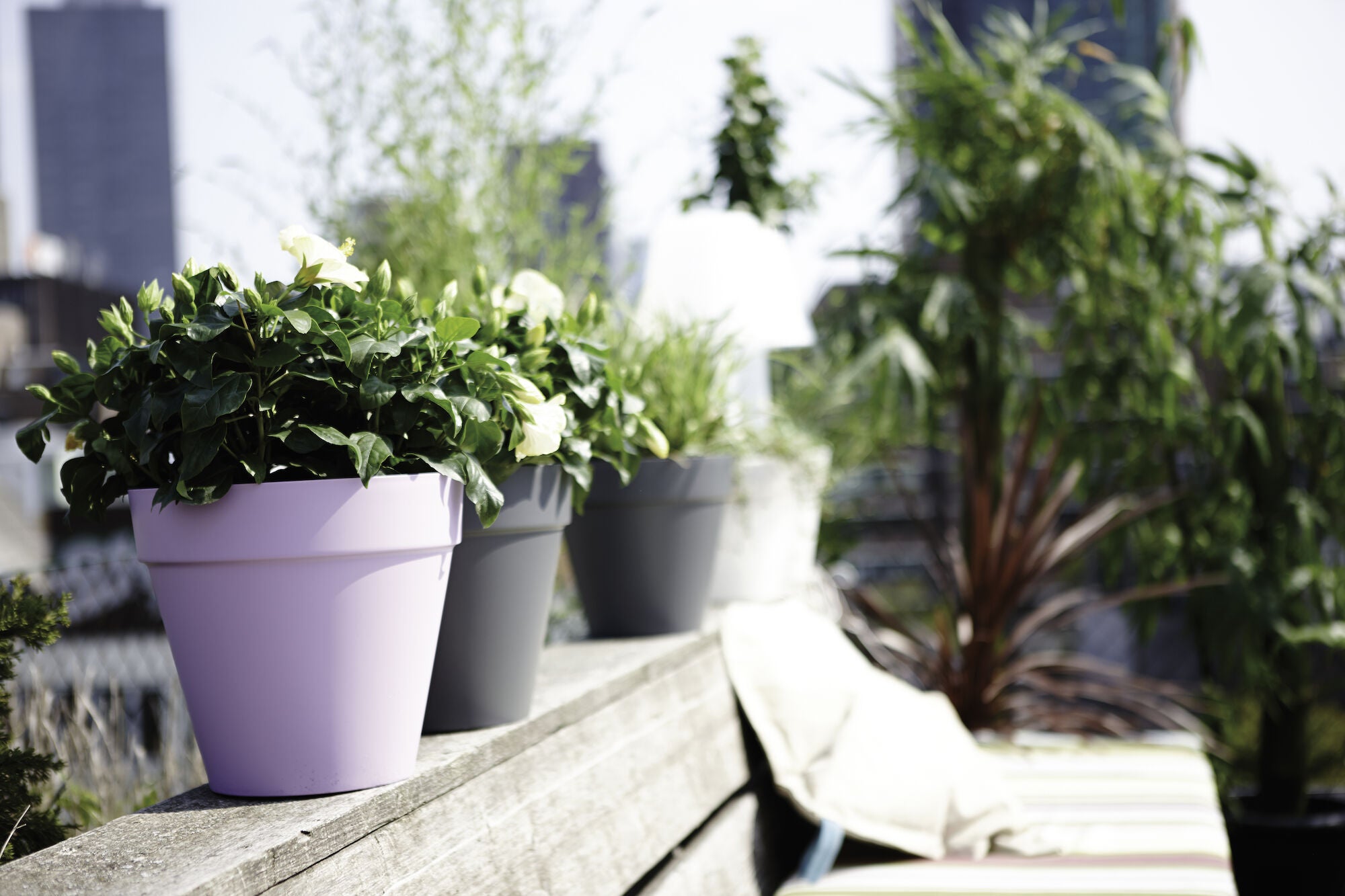 Pot polypropylène à réserve d'eau ELHO Diam.19.6 x H.17.7 cm anthracite - 4