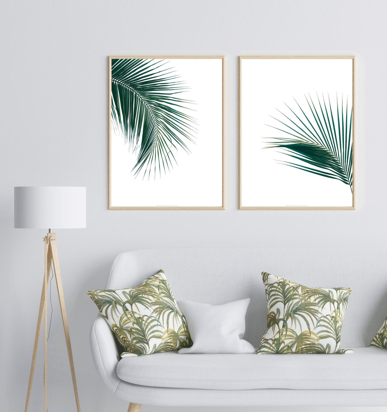 Affiche Green Palm Tree 1, vert fond blanc EDITIONS BRAUN l.60 x H.80 cm - 2