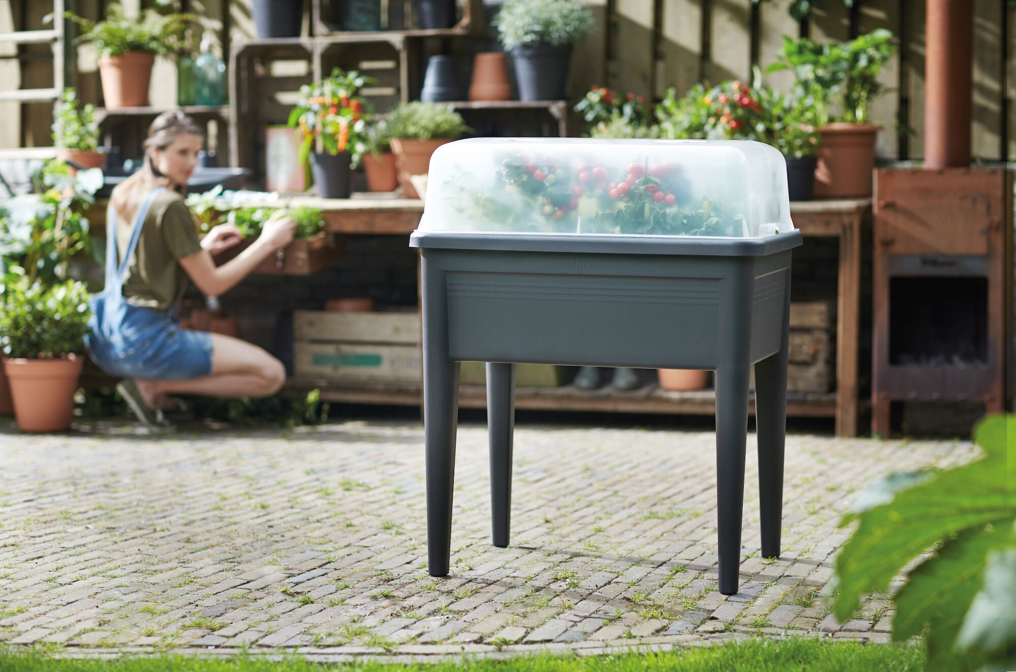 Couvercle pour potager polypropylène Green basics xxl transparent l.74.8 x H.20. - 2