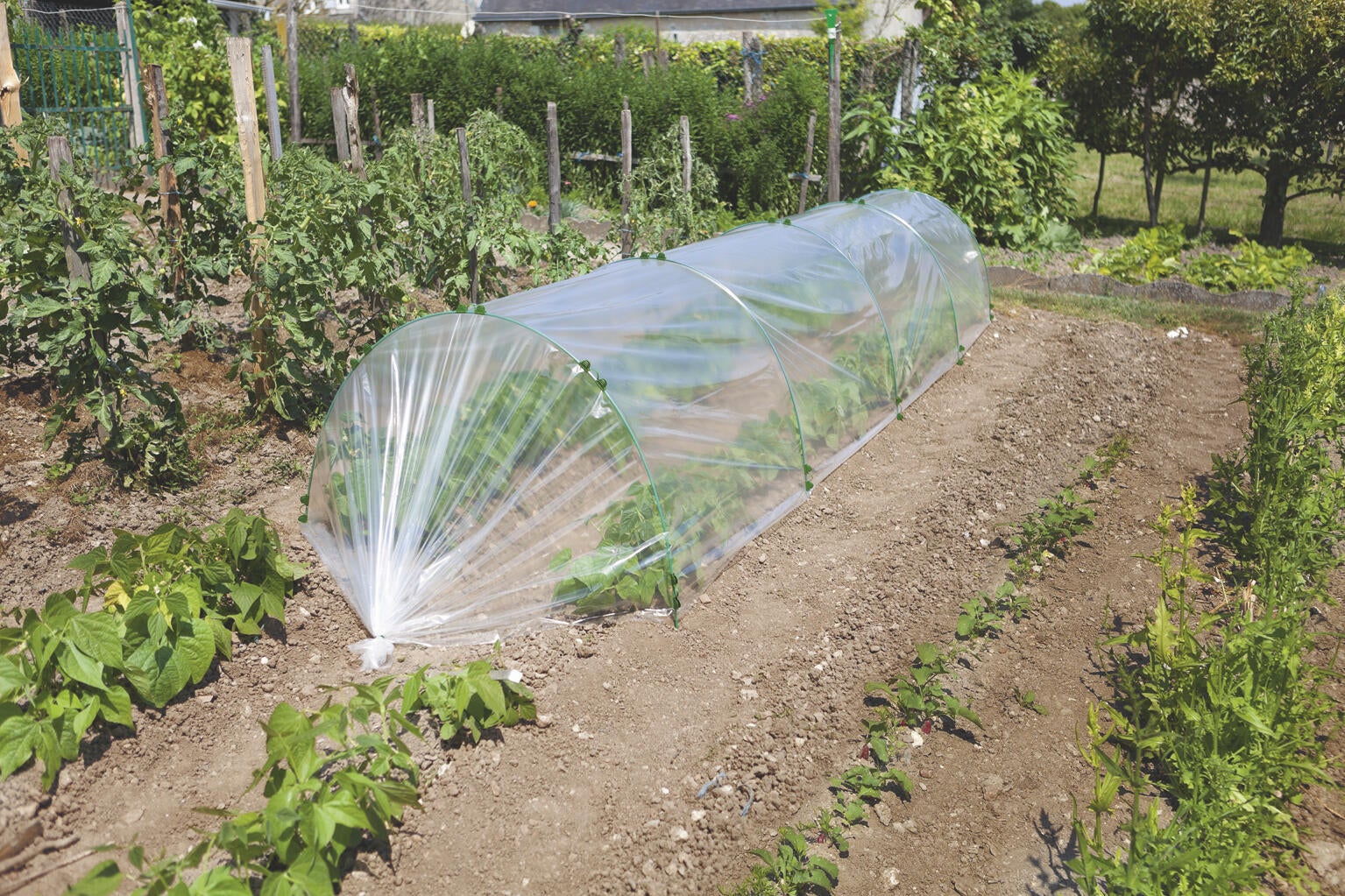 Arceau en fibre de verre vert NORTENE pour tunnel, H.2.5 m | Leroy Merlin