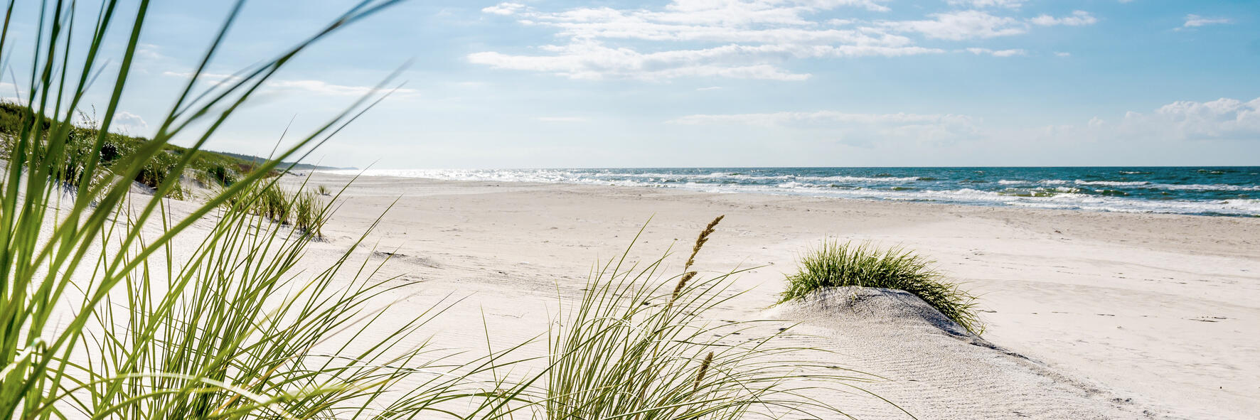 Plage apaisée, multicolore CEANOTHE l.97 x H.30 cm - 2