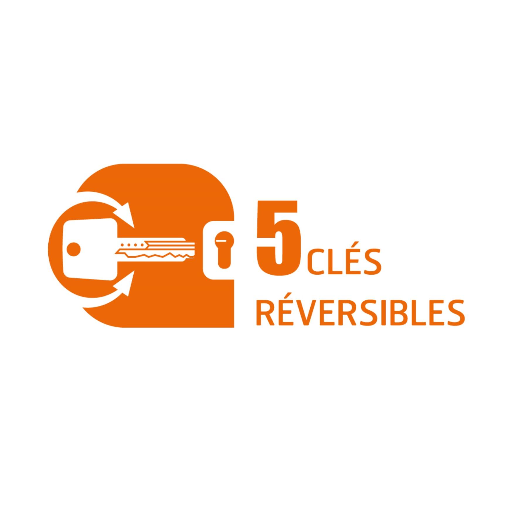 Cylindre de serrure BRICARD A6 débrayable L.30 + 40mm 5 clés - 4