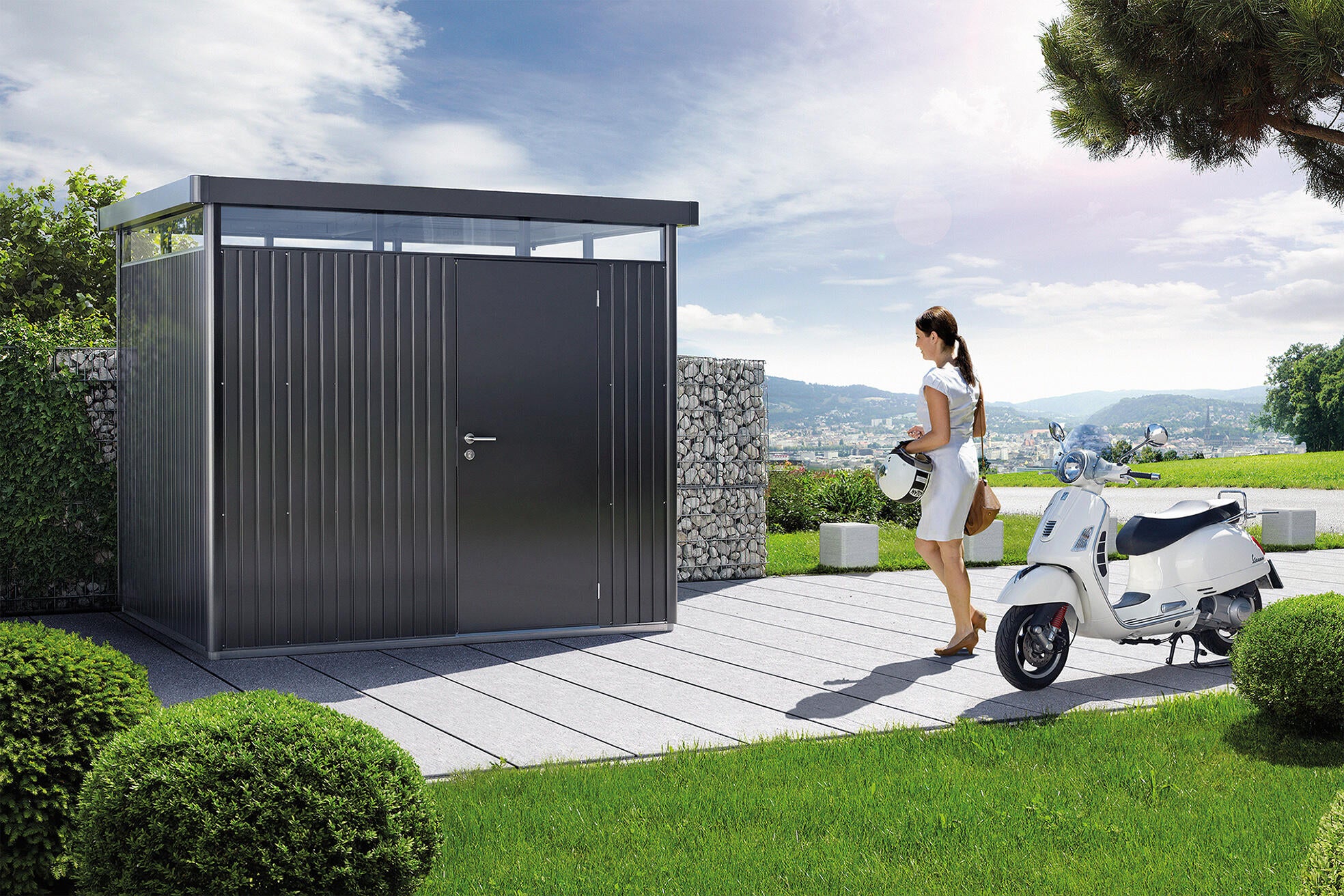 Abri de jardin acier BIOHORT 84060 Ep.0.5 mm, 8.66 m² - 2