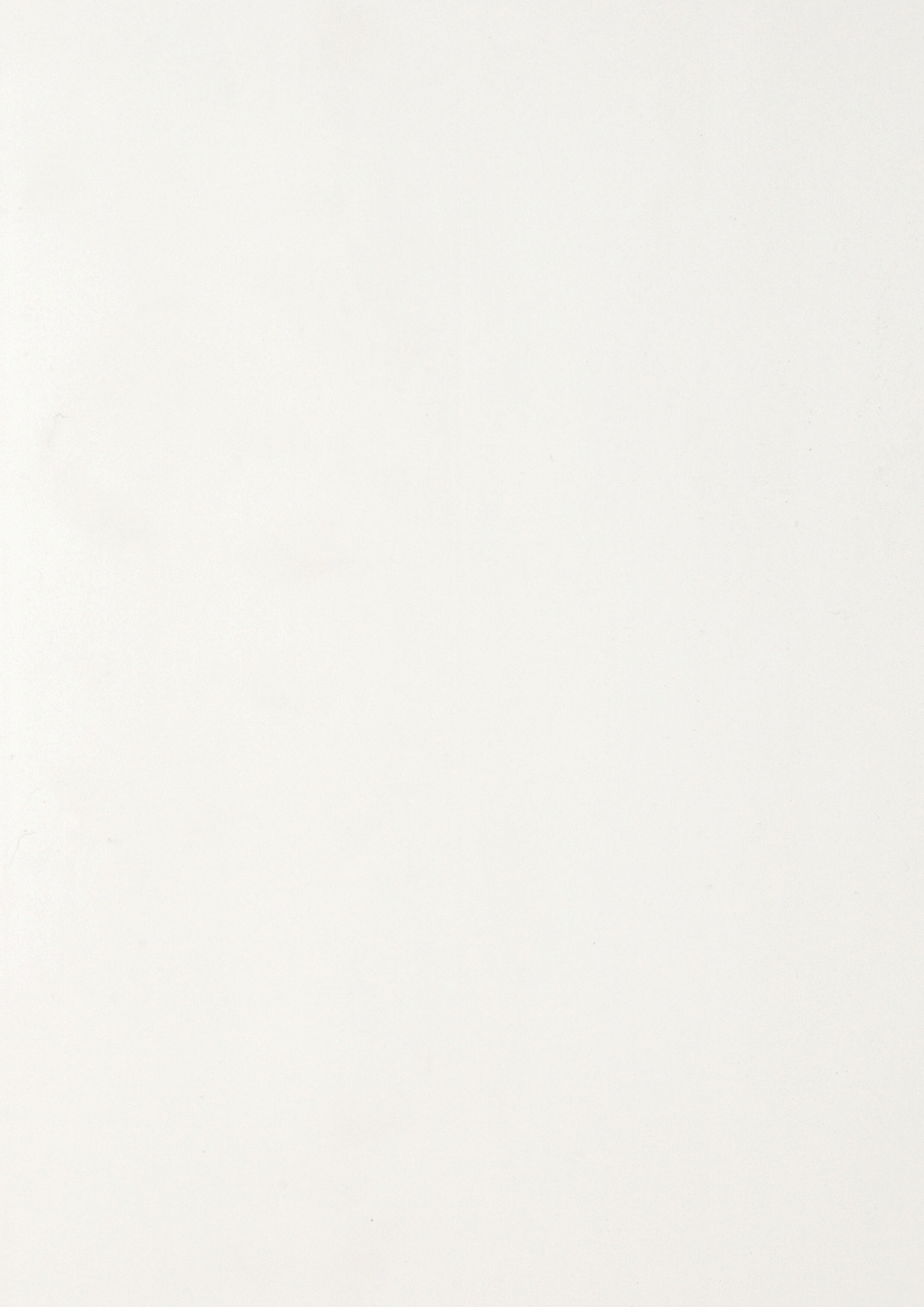 Lambris PVC blanc L.400 x l.37.5 cm x Ep.8 mm - 3
