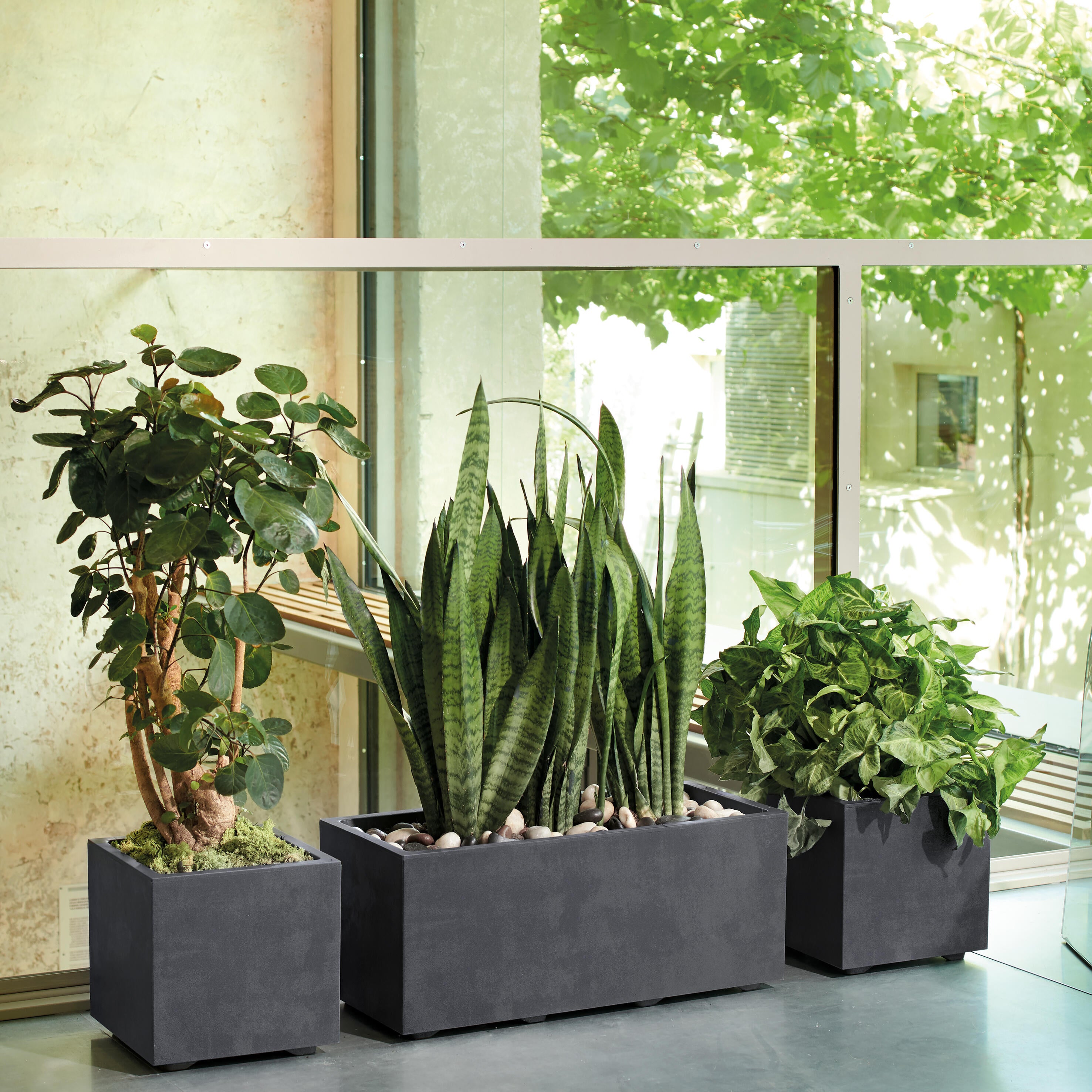 Muret plastique à réserve d'eau DEROMA L.59 x l.25 x H.25 cm anthracite - 4