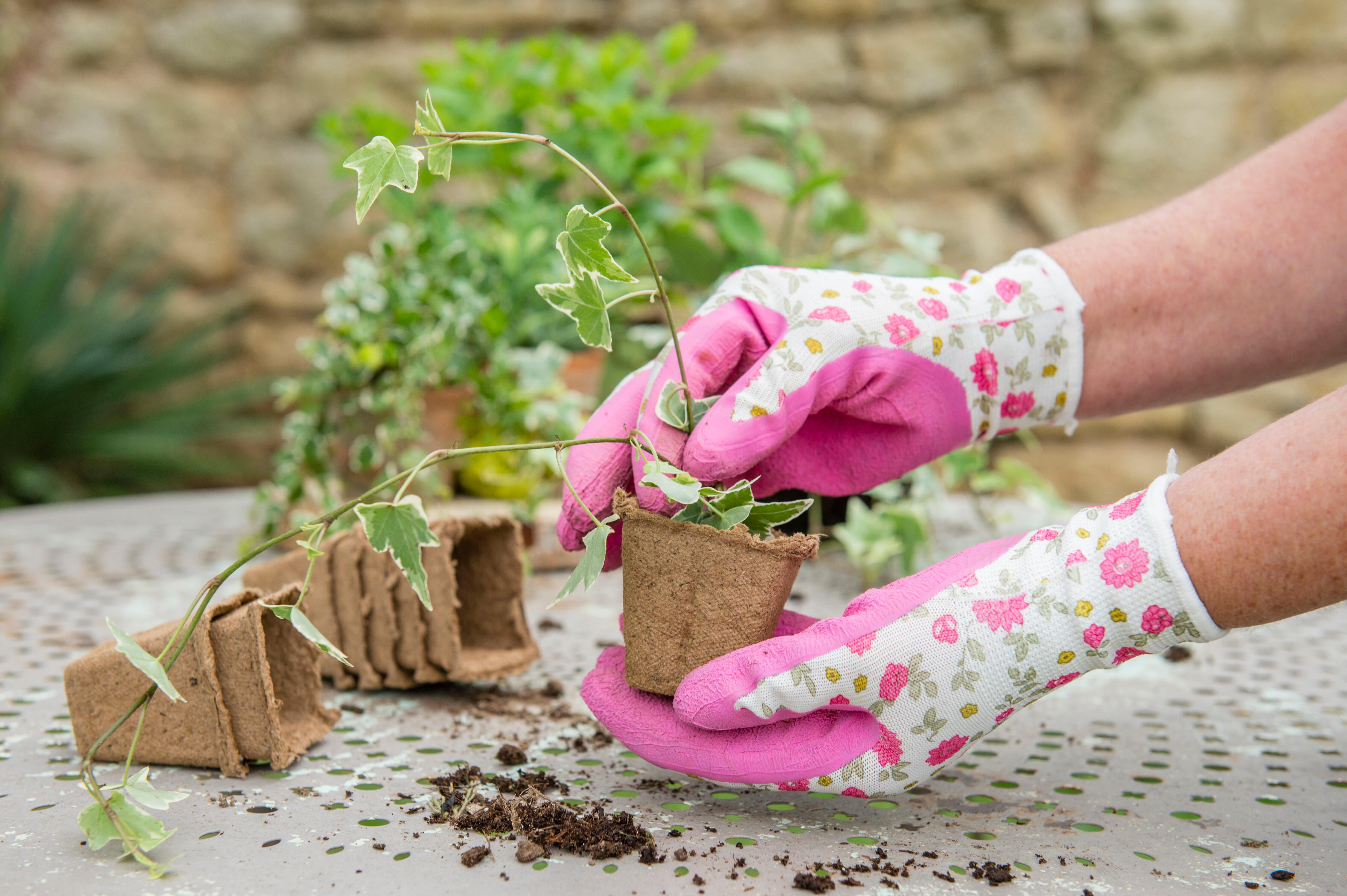 Paire de gants pour travaux de jardinage polyuréthane, T8 GEOLIA - 6