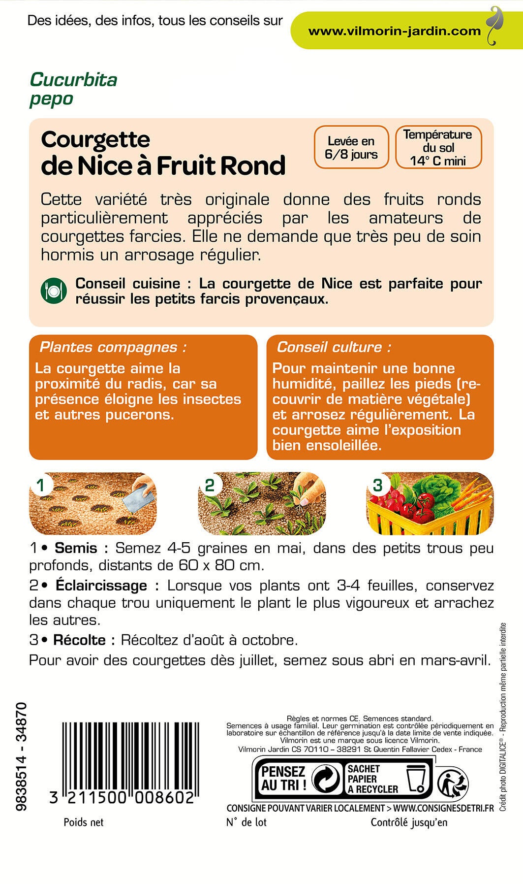 Graines de courge VILMORIN 5 g - 2