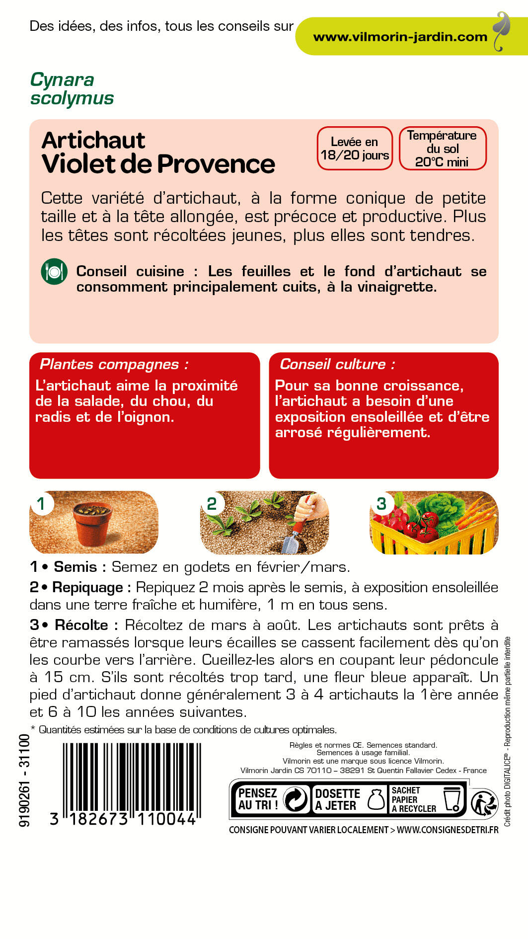 Graine potagère artichaut violet de provence VILMORIN 2 g - 2