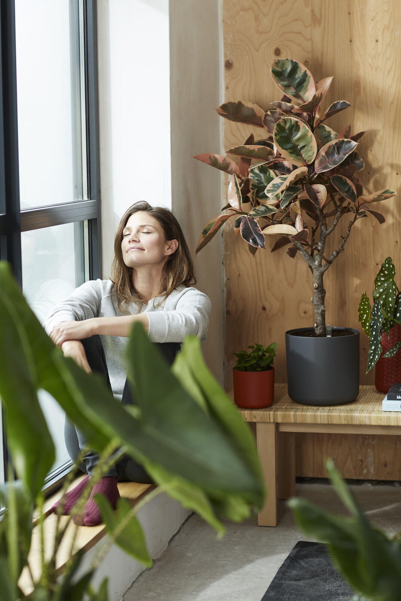 Cache-pot plastique ELHO Diam.16 L.16 x l.16 x H.14.9 cm anthracite - 4