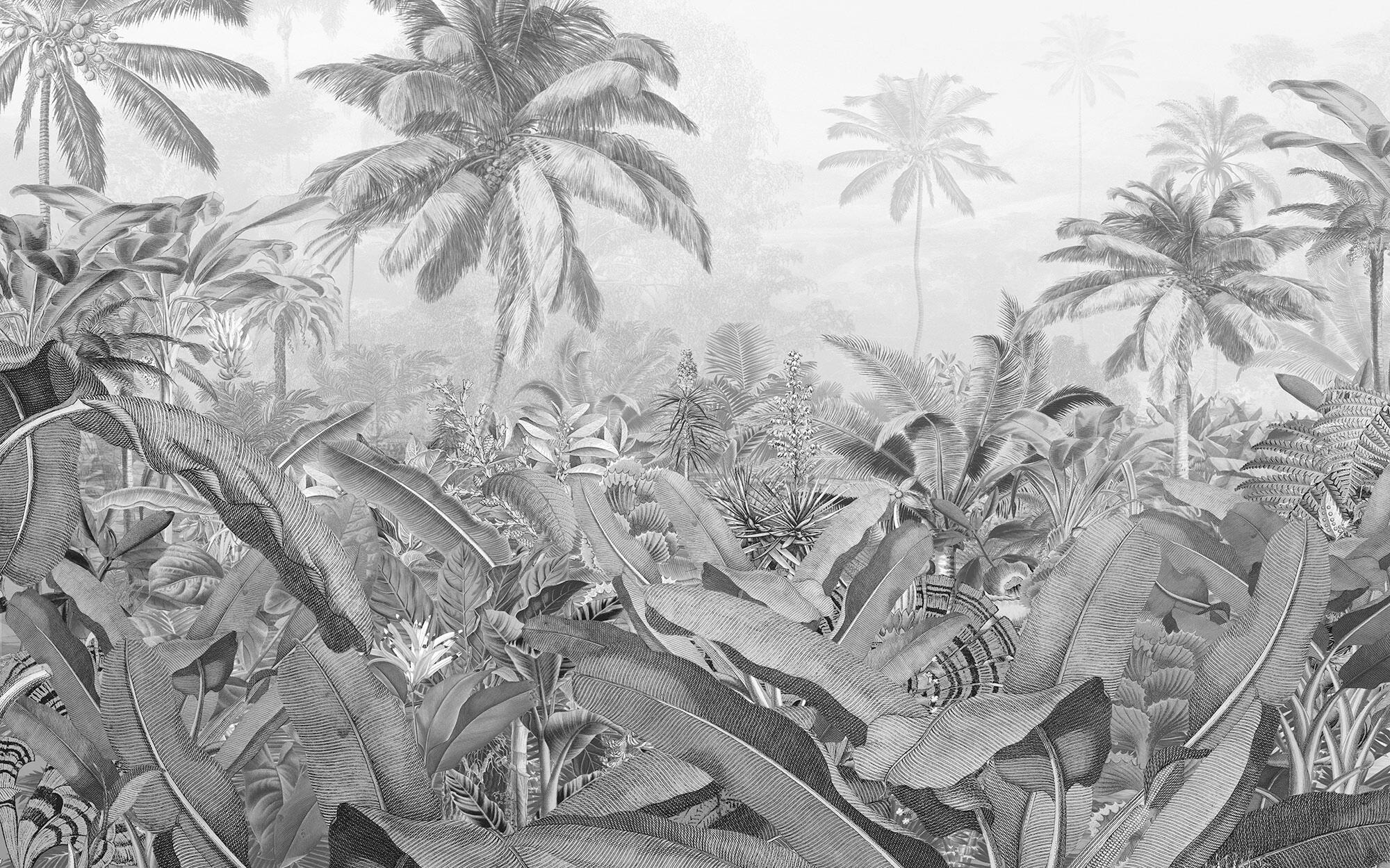 Papier peint panoramique Amazonia noir et blanc l.400 x H.250 cm - 2