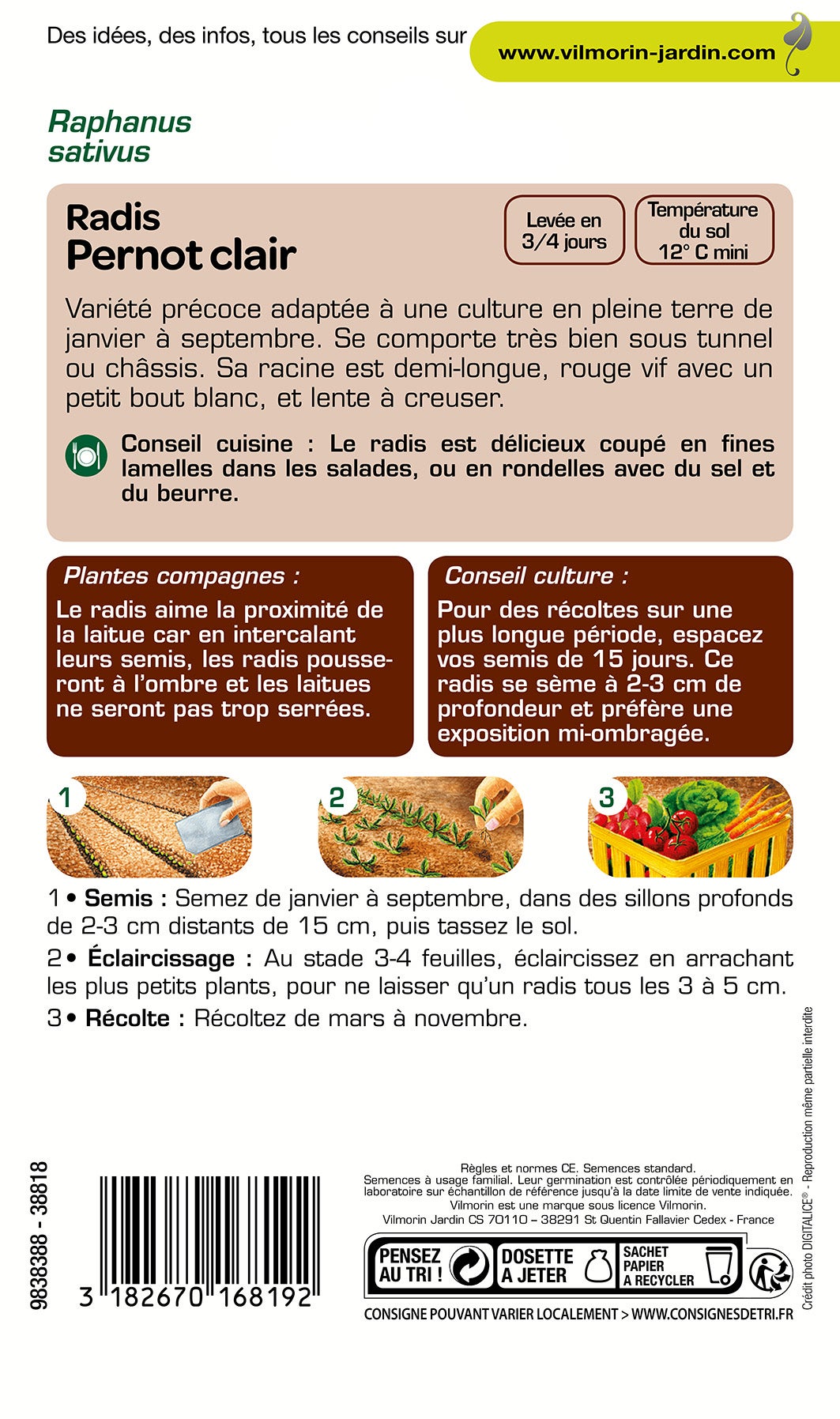 Graines de radis VILMORIN 8 g - 2