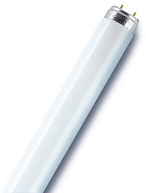 Tube fluorescent T8, 1300lm = 18W, blanc neutre, OSRAM