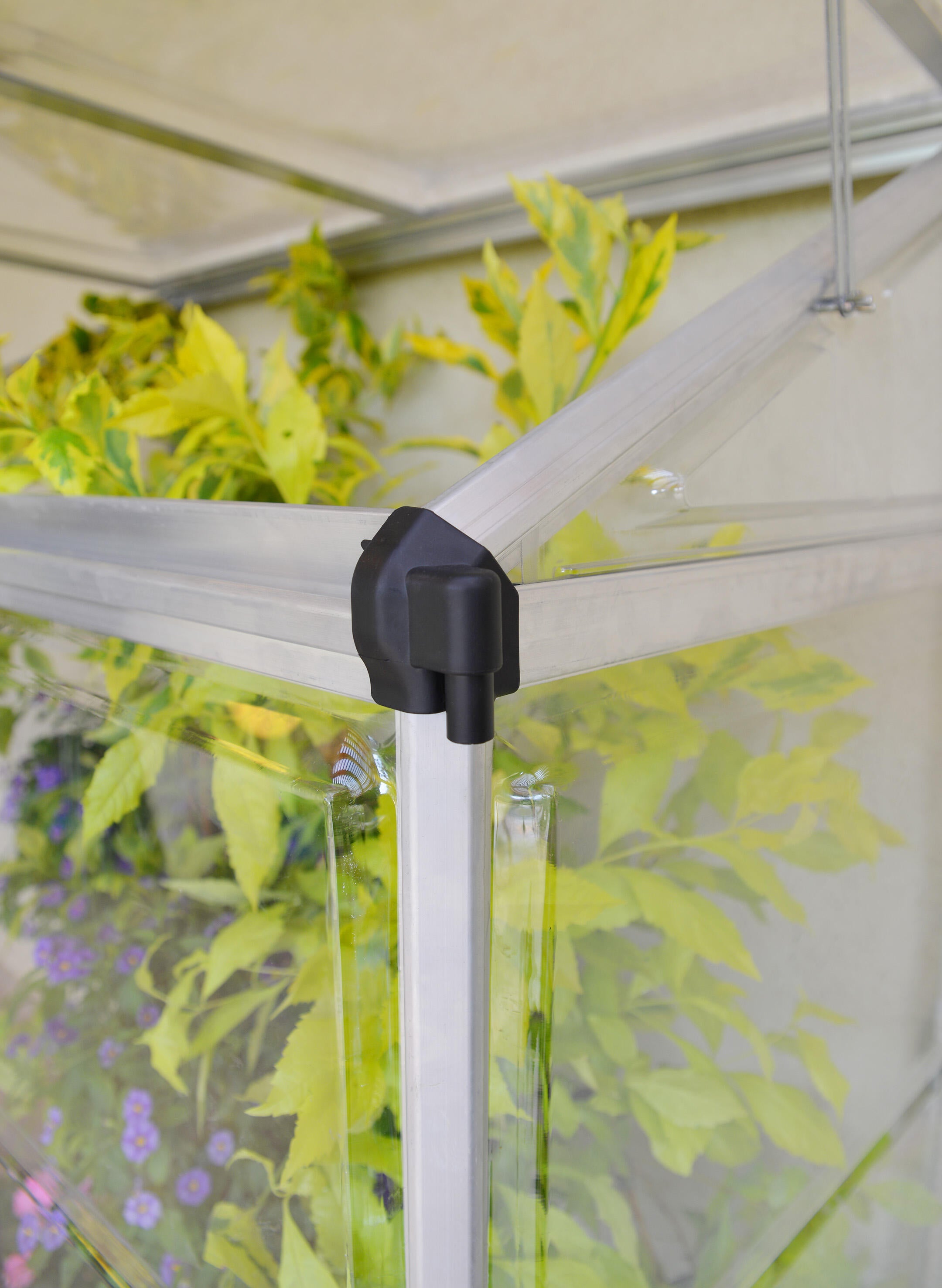 Serre fixe en polycarbonate simple paroi Lean to grow, 0.8 m² CANOPIA BY PALRAM - 6