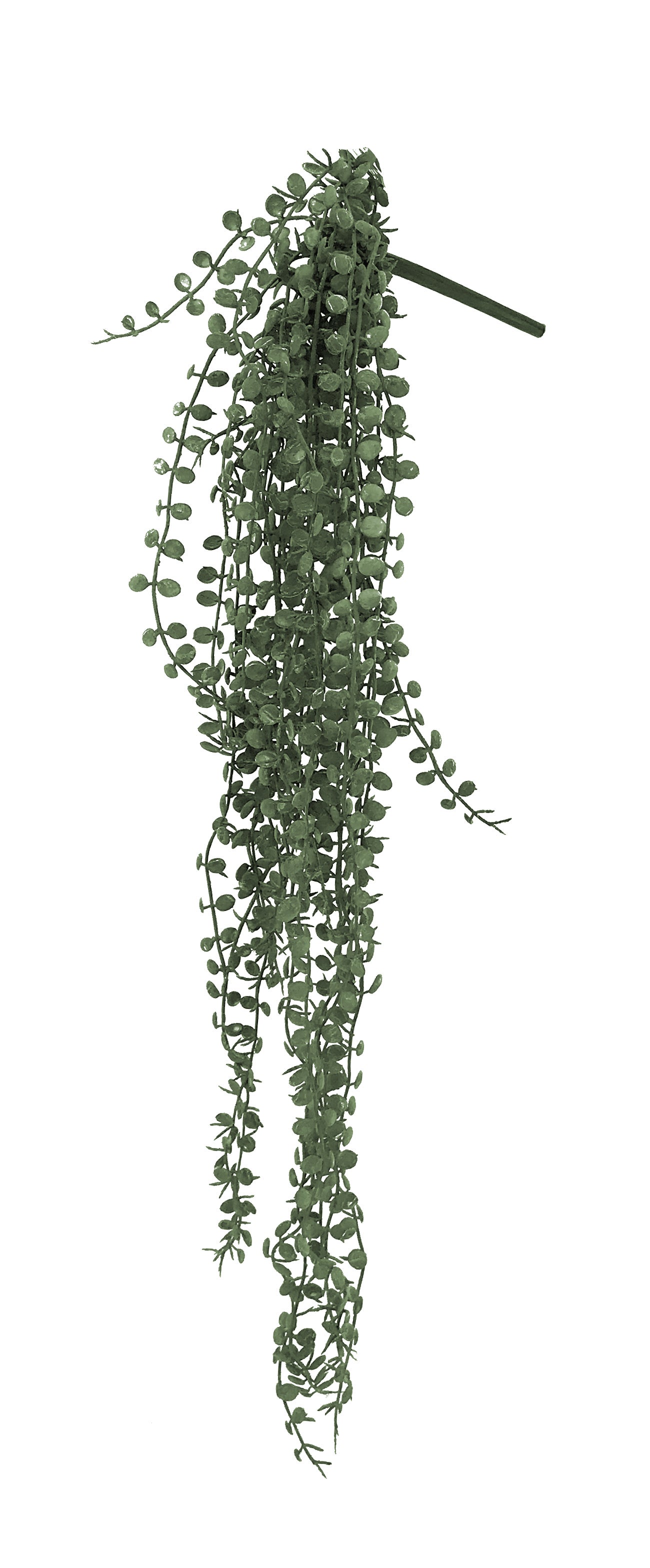 Chute de ceropegia woodii artificiel H70 cm, Ligne Déco - 3