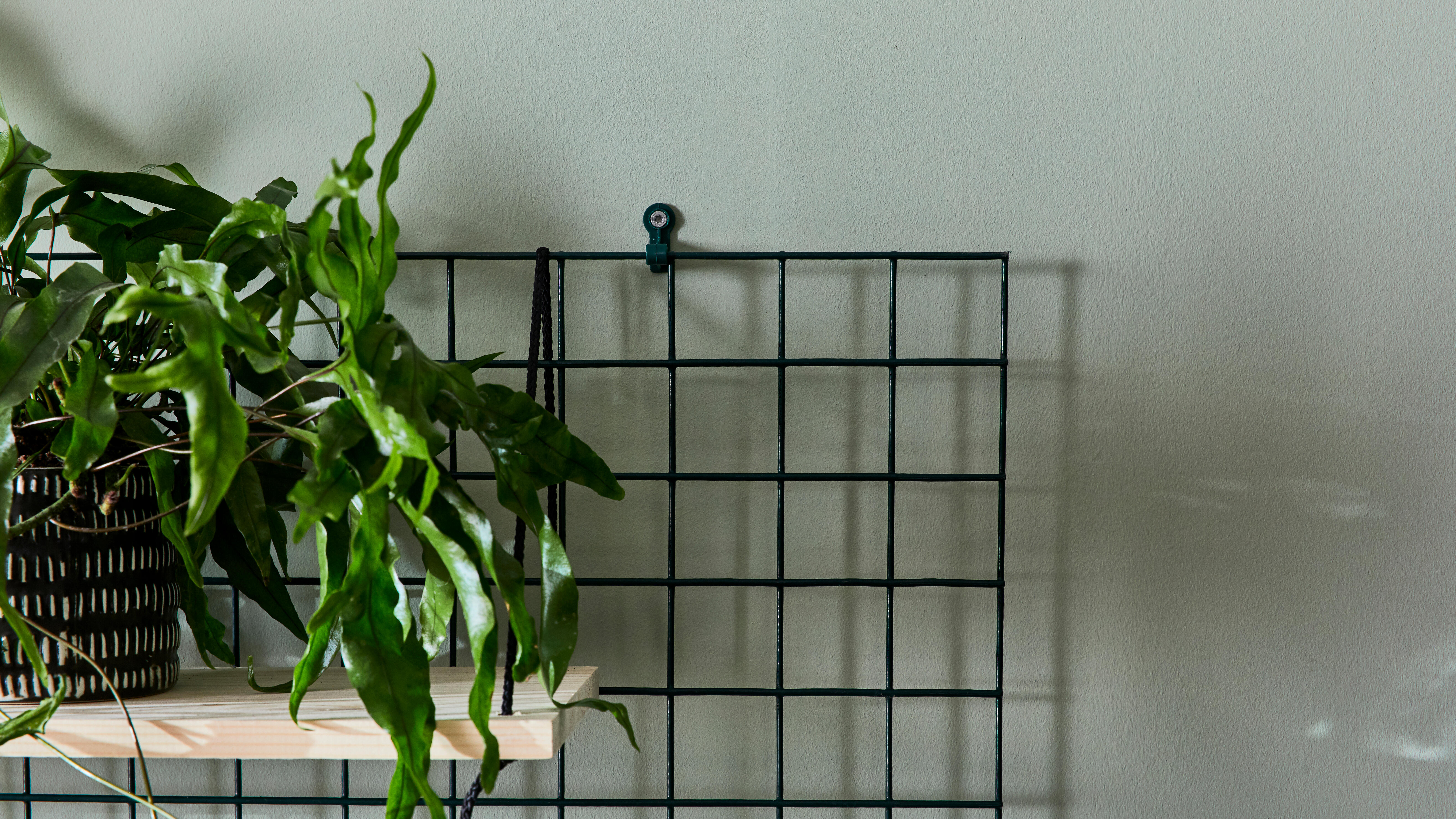 Panneau treillis métal vert, maille 50mm, H.120cm x l.60cm, Ideal Garden - 5