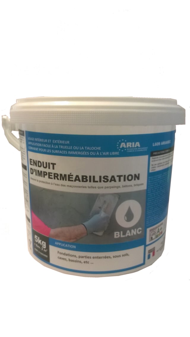 Enduit ciment pour cave Ariasec blanc 20 kg