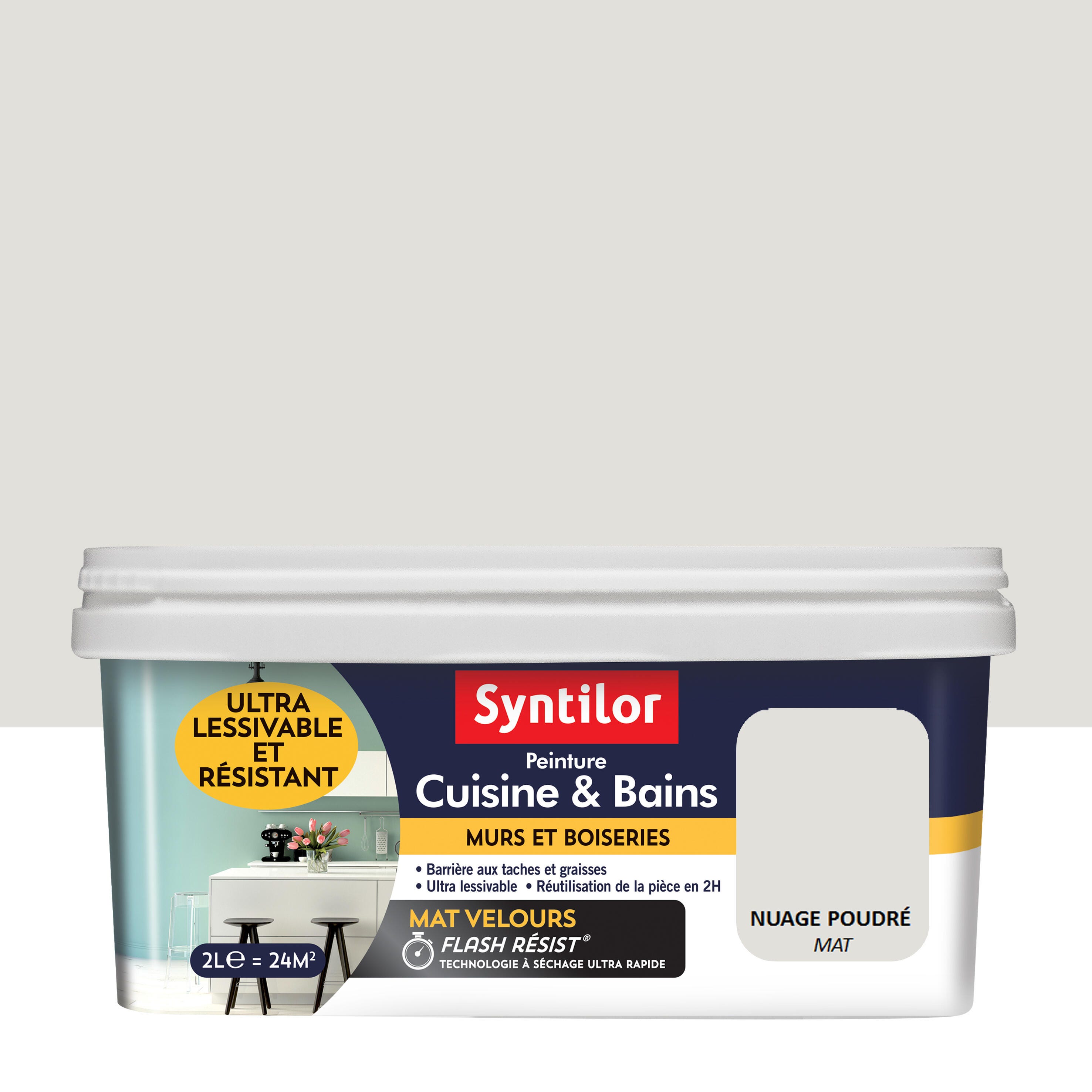 Peinture Mur Boiserie Nuage Poudr Mat SYNTILOR Cuisine Et Bains 2l peinture-mur-boiserie-nuage-poudr-mat-syntilor-cuisine-et-bains-2l