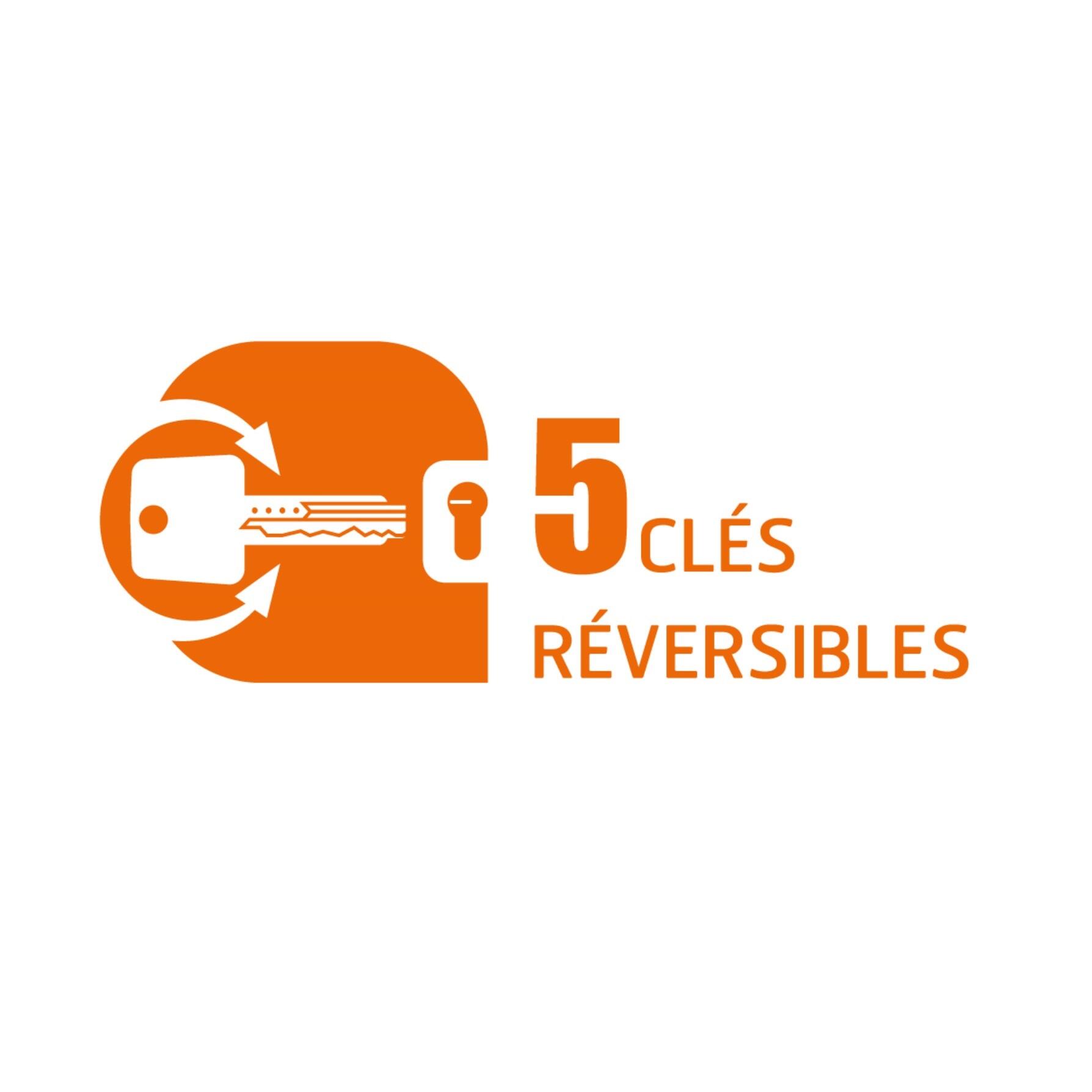 Cylindre de serrure BRICARD A6 débrayable L.40 + 40mm 5 clés - 4