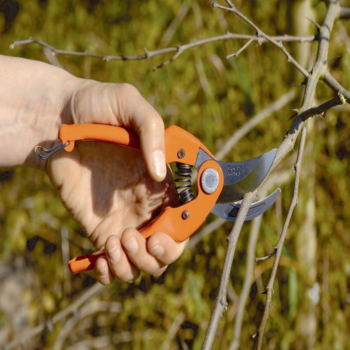 Sécateur coupe étroite tranchant branche jardin