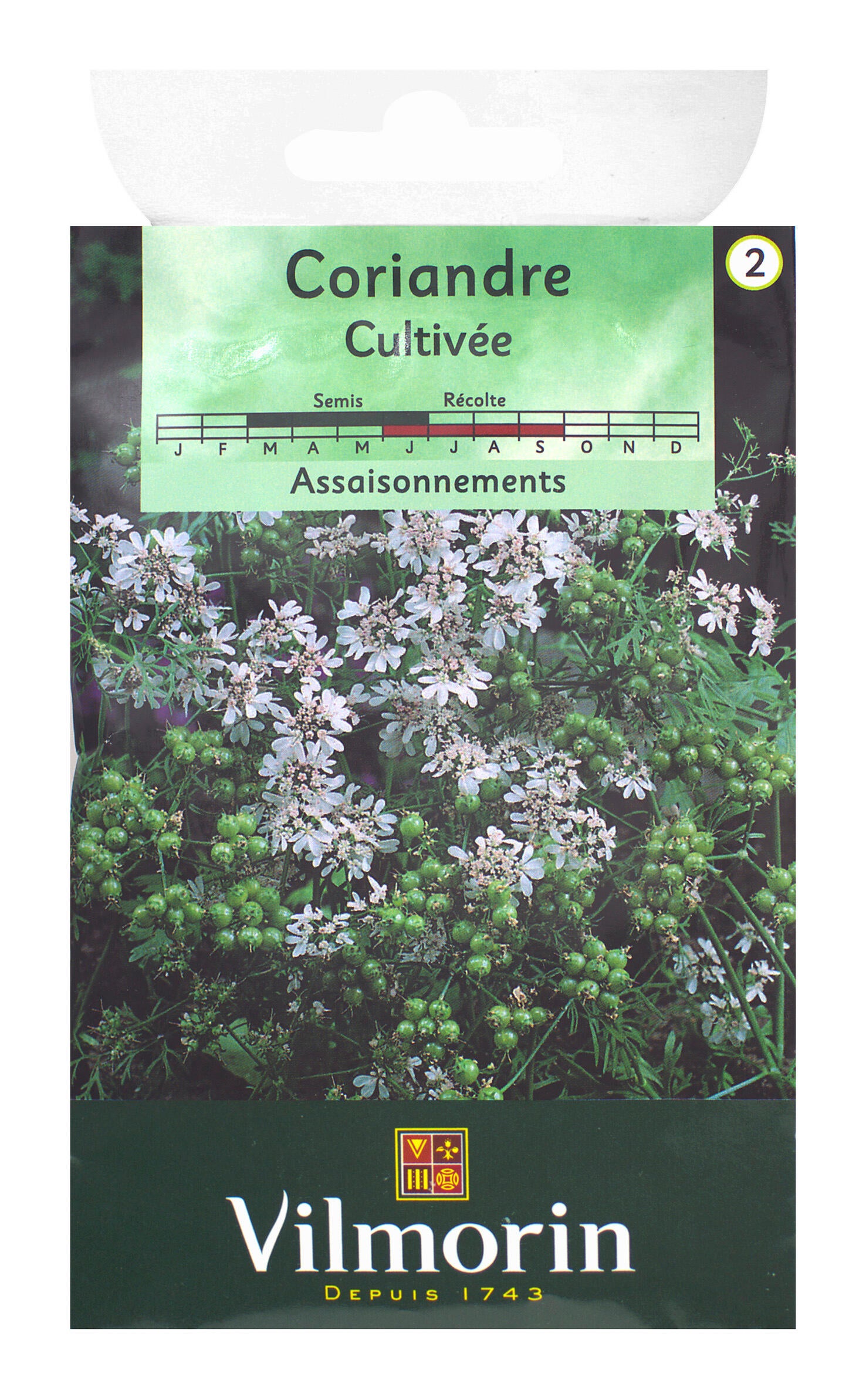 Graines de coriandre VILMORIN 4 g - 3