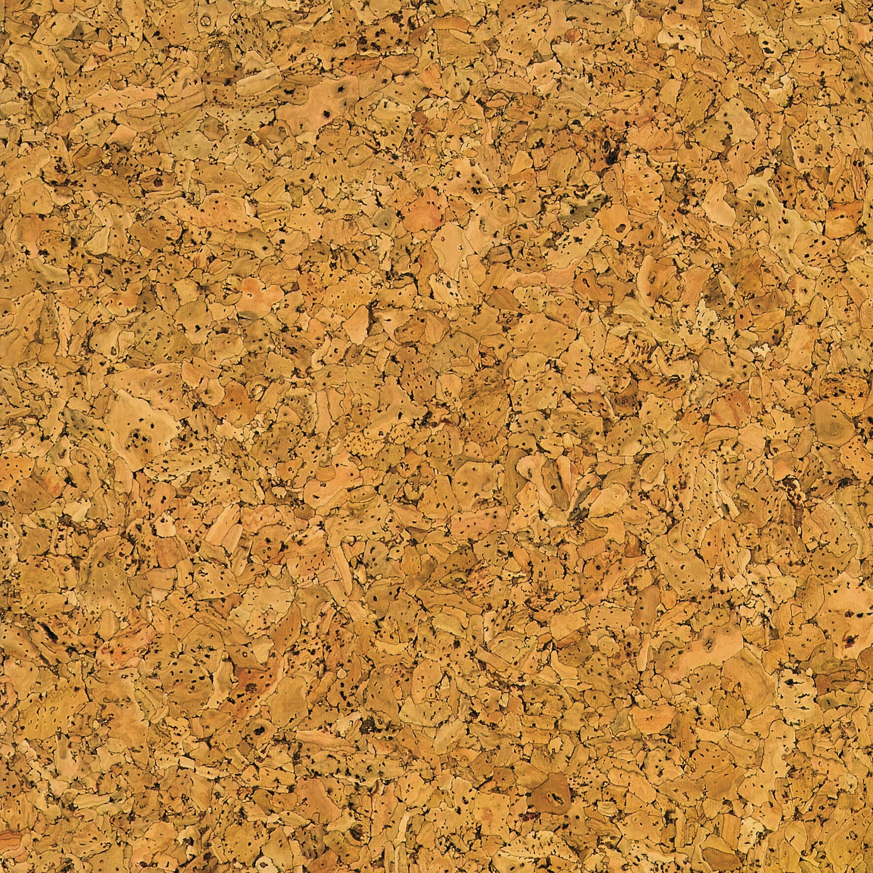 Lot de 5 dalles de liège murales, beige naturel, l.60 x L.30 cm - 3