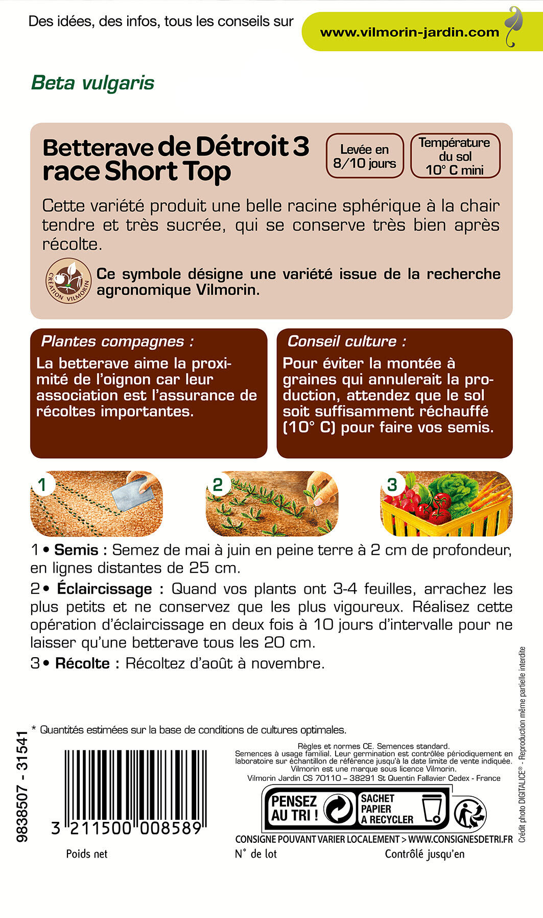 Graines de betterave VILMORIN 5 g - 2