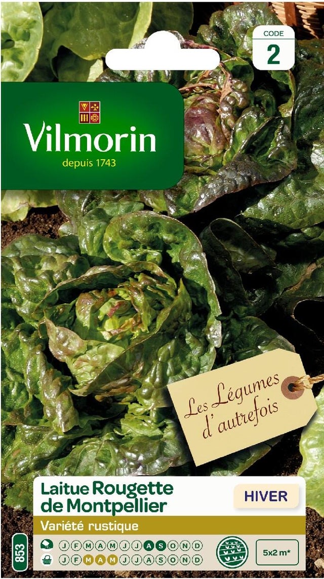 Laitue rougette du midi VILMORIN 4 g