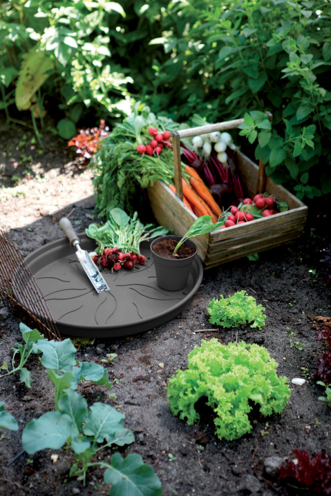 Sottovaso per vaso da fiori ELHO Vivo in polipropilene di colore nero Ø 34 x H 4.8 cm - 3