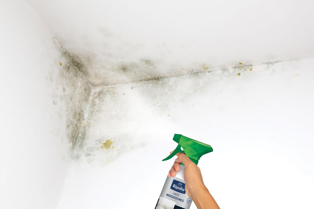 Produit anti-moisissures Dip etanch, RIPOLIN incolore 0.5 l - 2