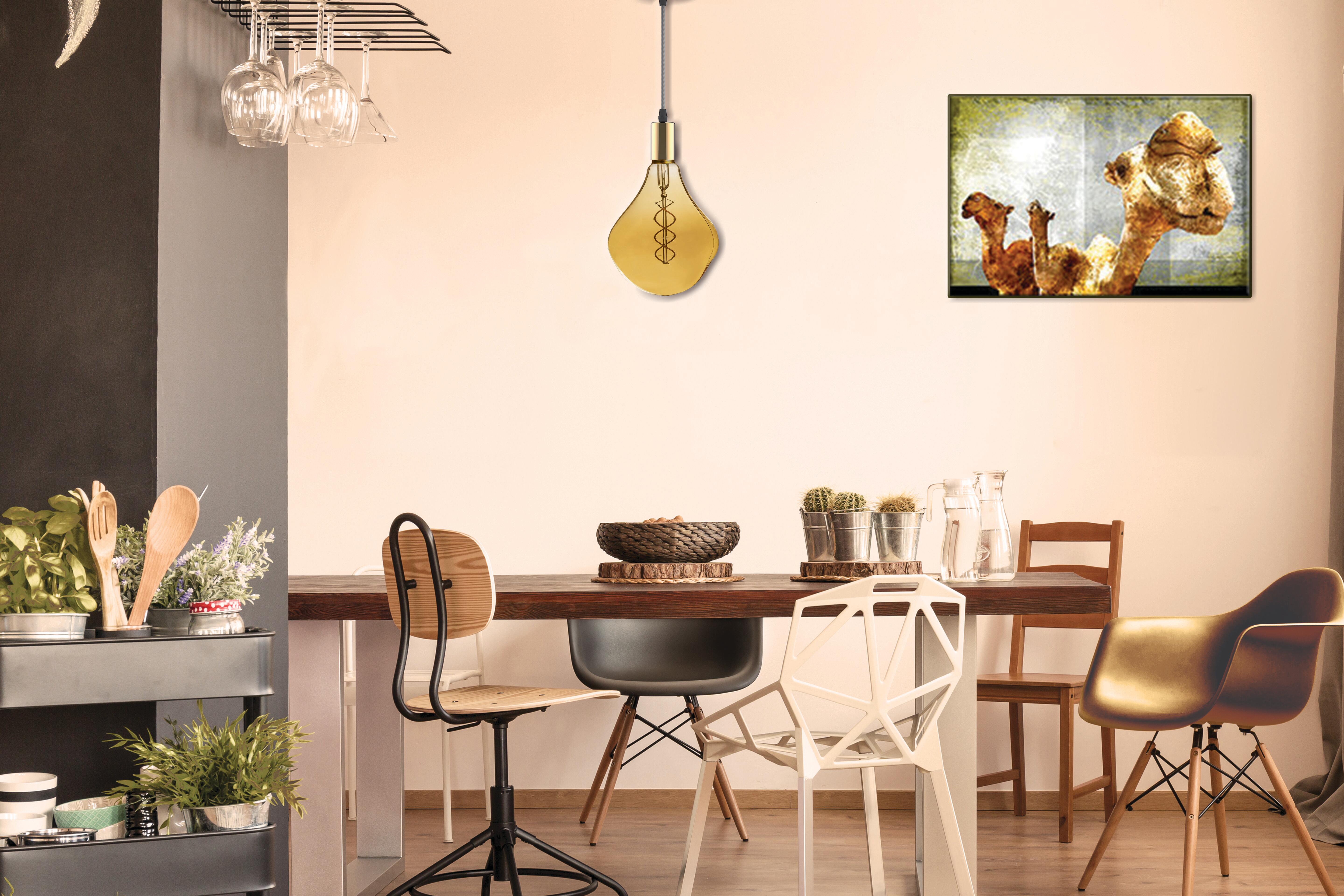 Ampoule led décorative, globe 125mm E27, 720lm = 8W, blanc très chaud, XXCELL - 3