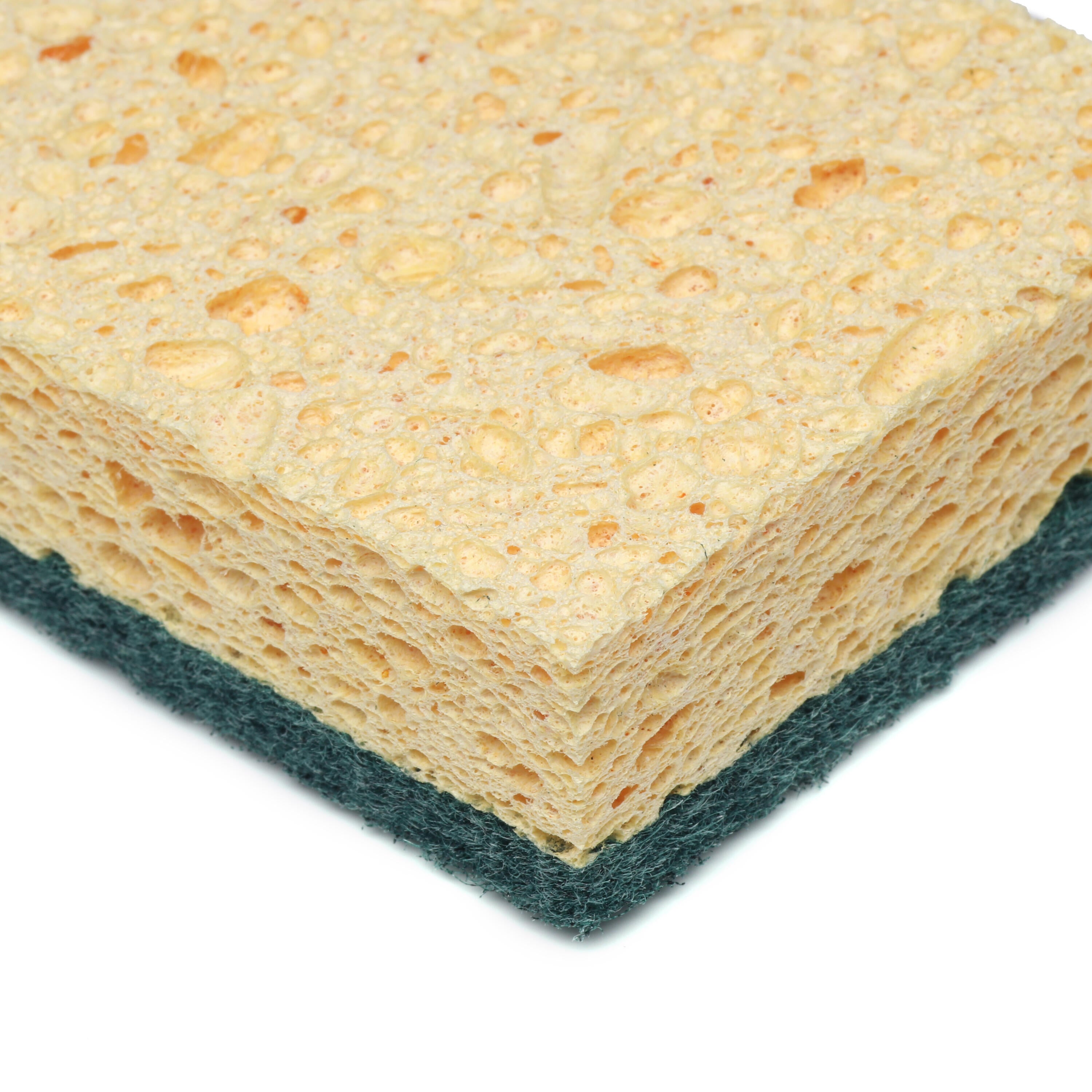 Lot de 10 Éponge artificielle, IMPACT - 4