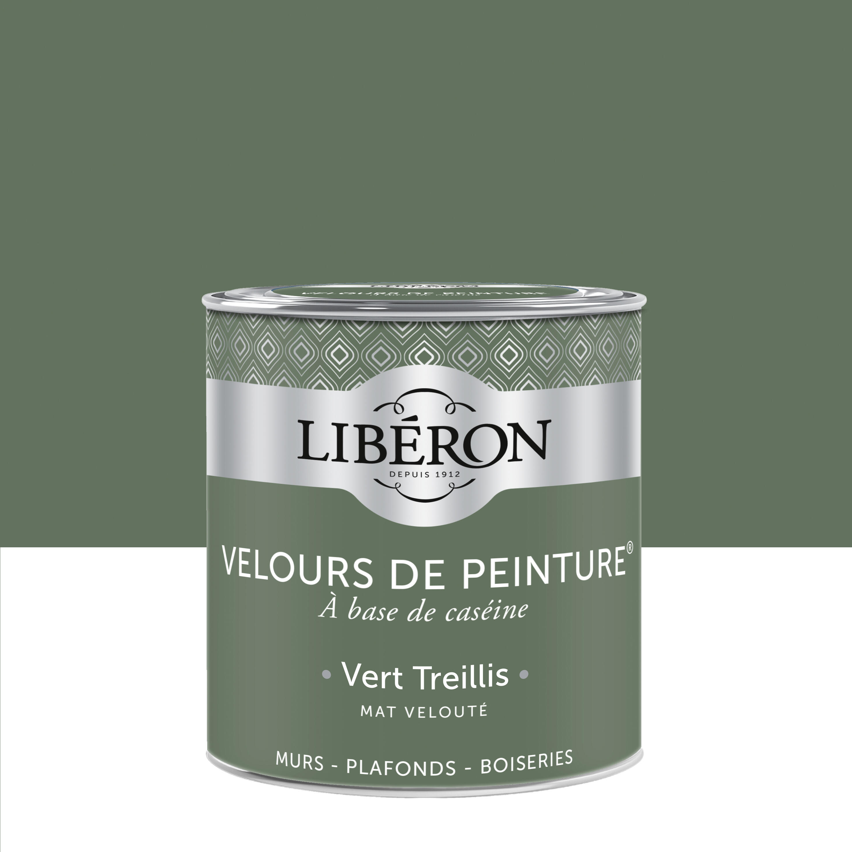 Peinture mur, plafond vert treillis velours LIBÉRON Velours de peinture ...