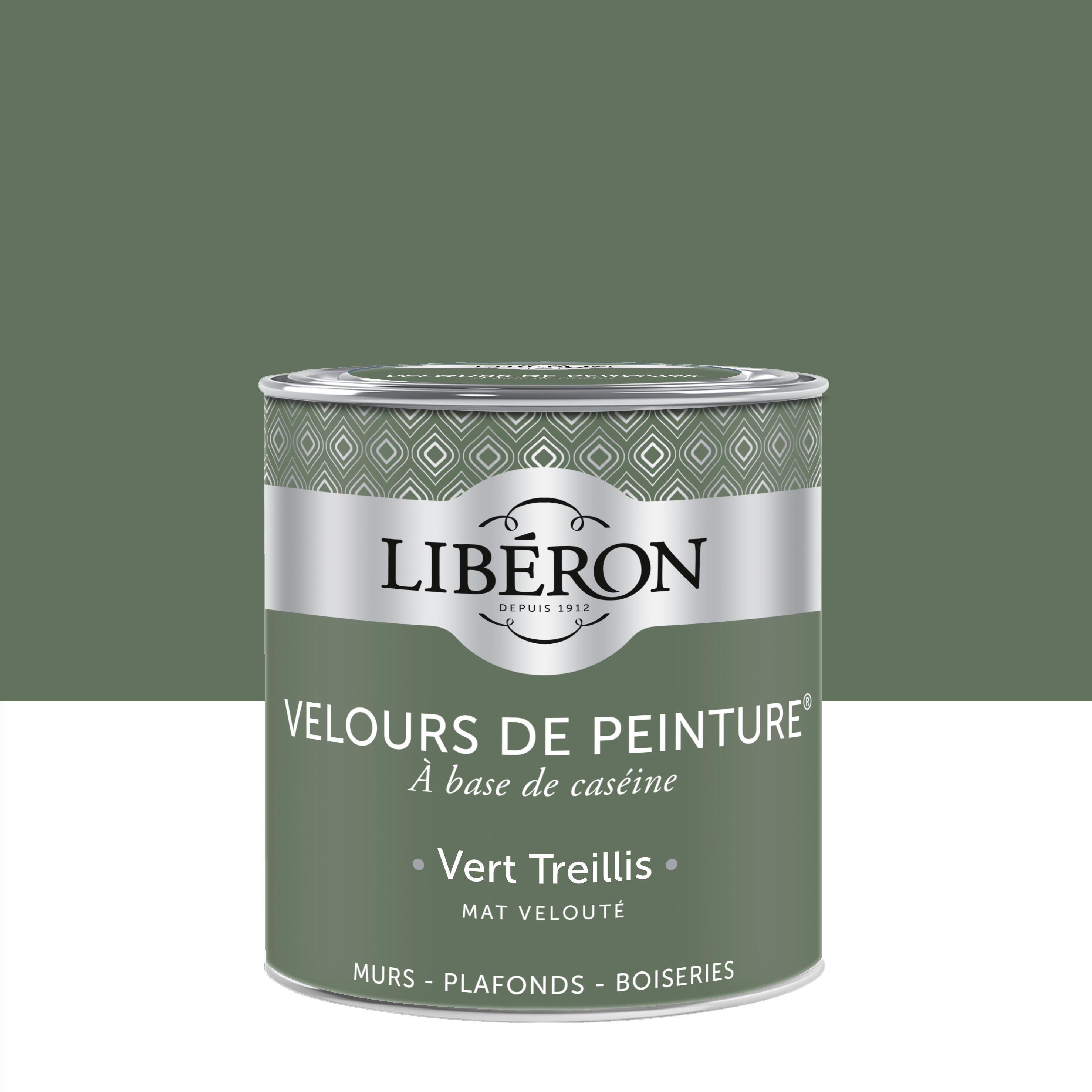 Peinture mur, plafond vert treillis velours LIBÉRON Velours de peinture ...