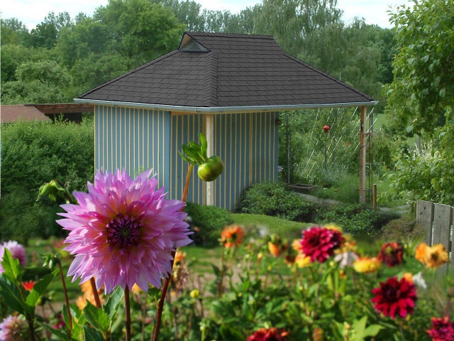 Bardeau rectangle bitume noir l.0.336 x L.0.78 m IKO