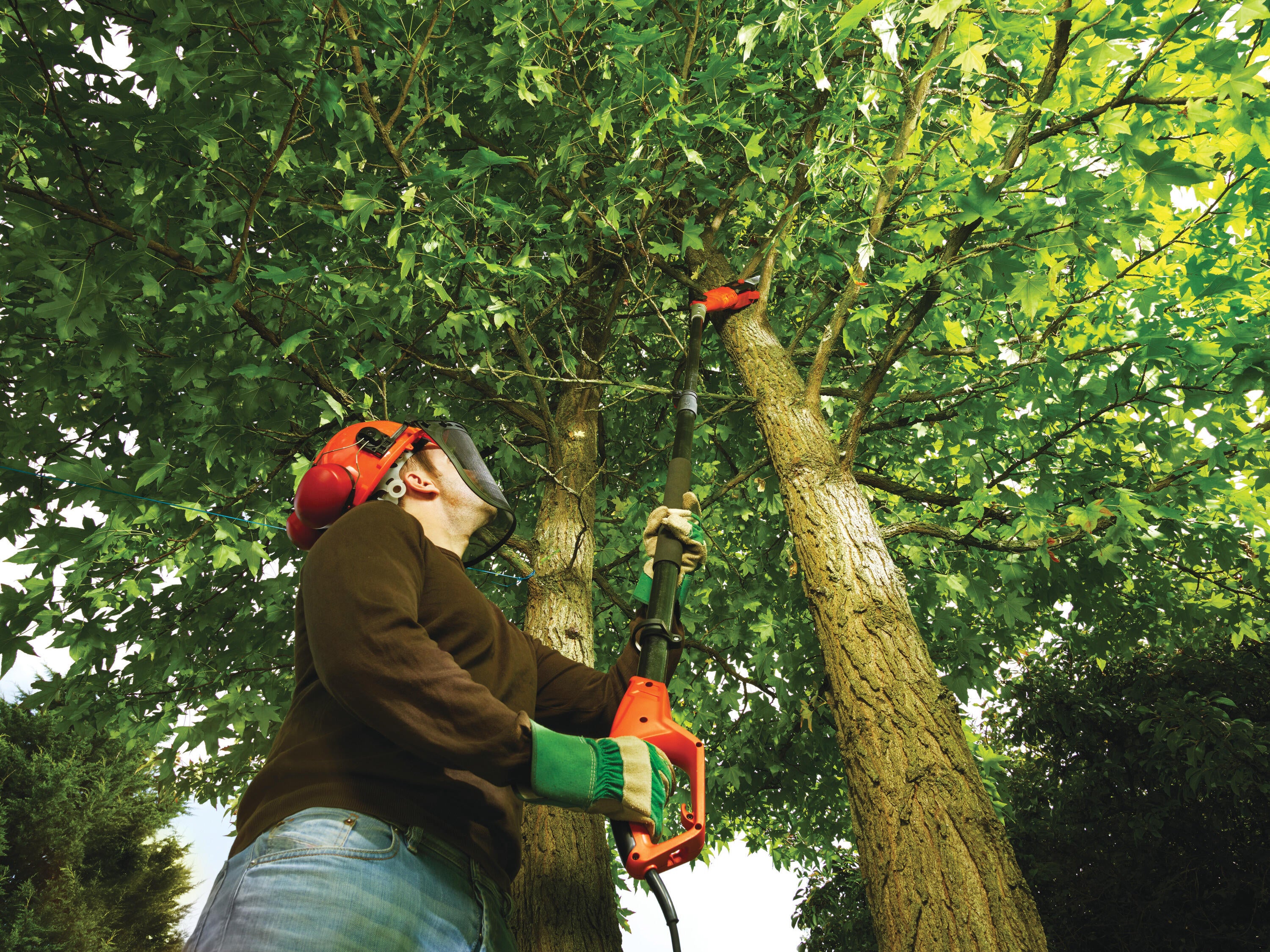 Elagueuse sur perche électrique BLACK + DECKER Ps7525, 800.0 W, guide de 25 cm - 5